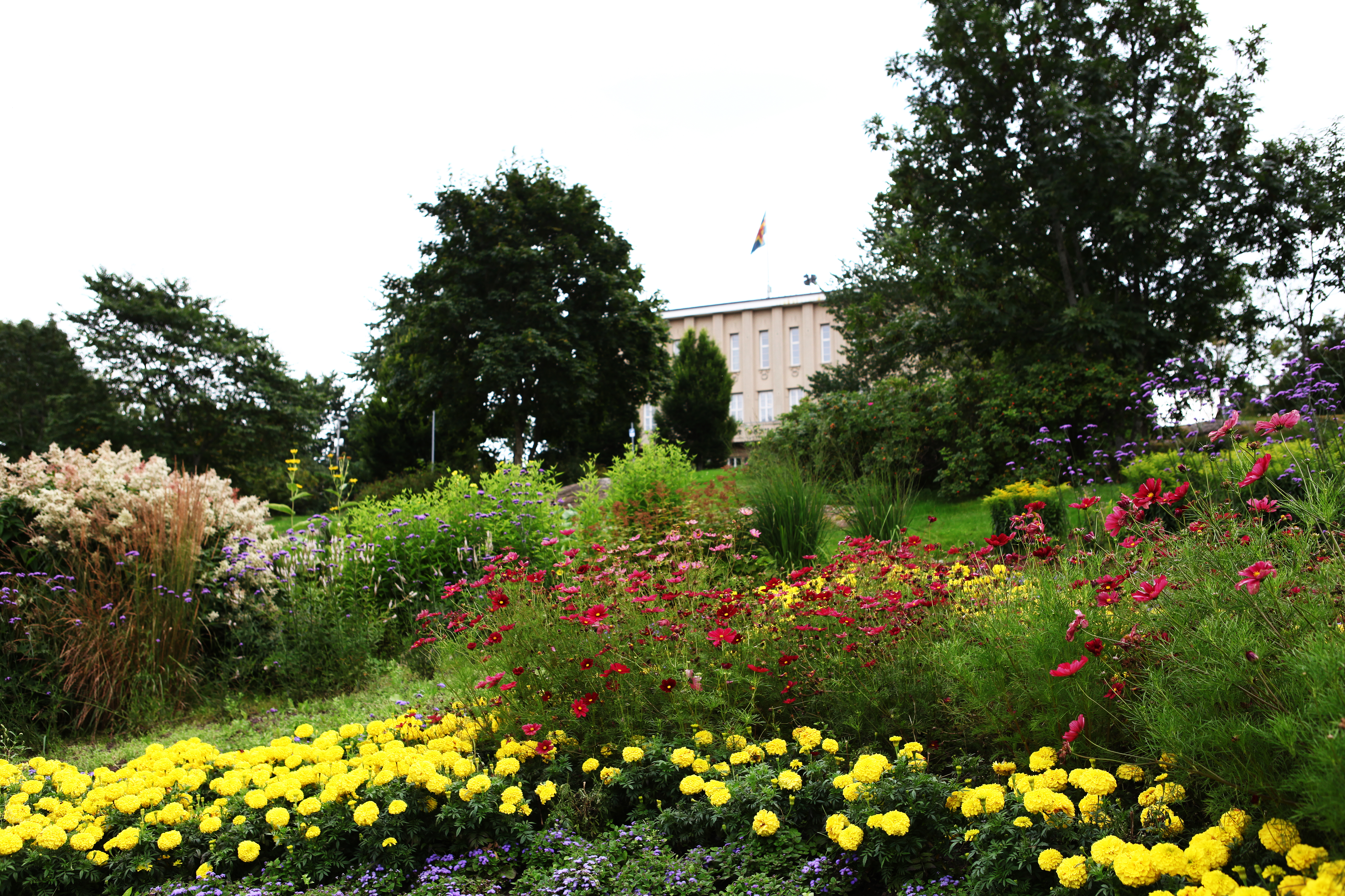 Sista veckan att fylla i grönområdesenkät
