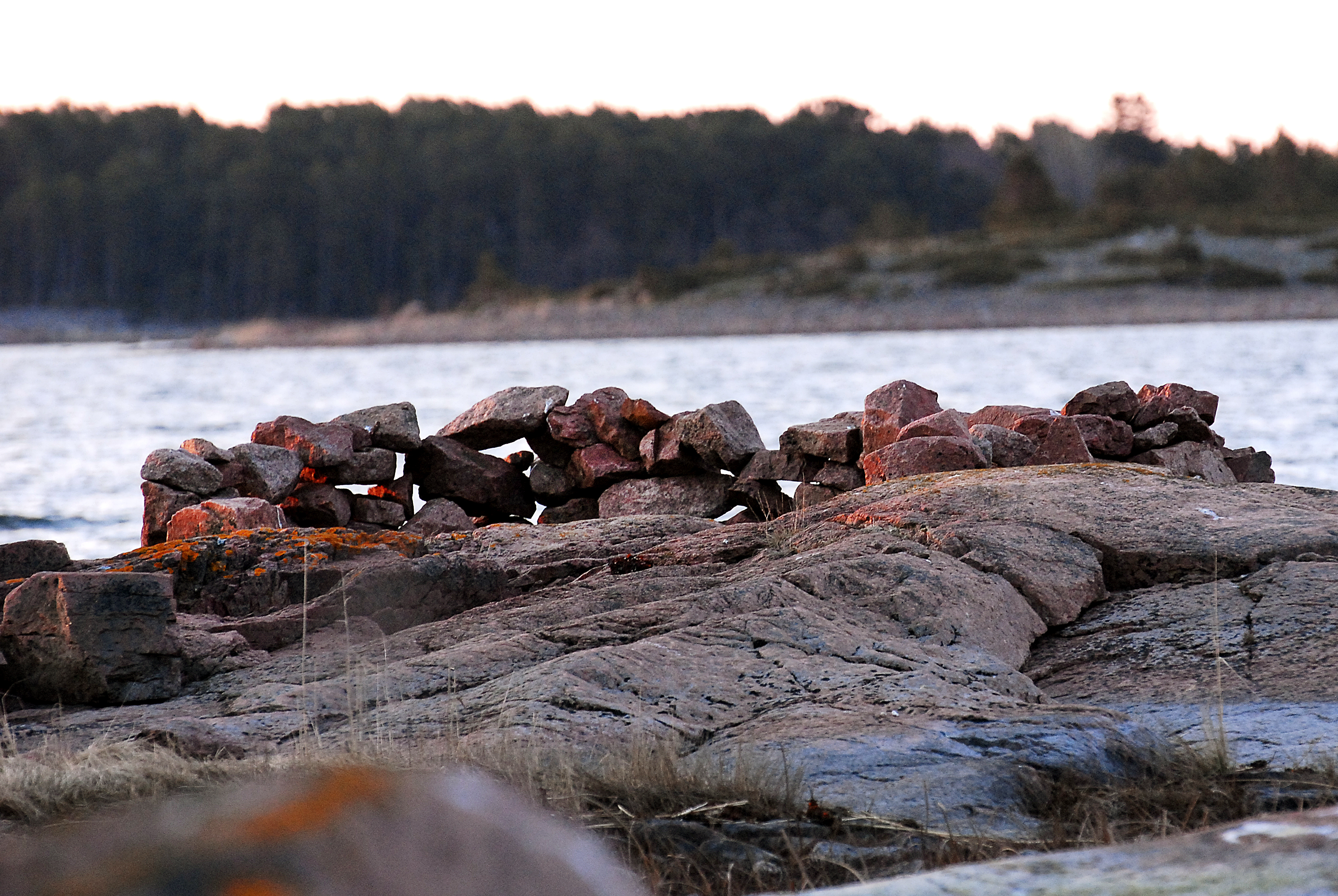 Paus kunde ha gett vårjakten en chans