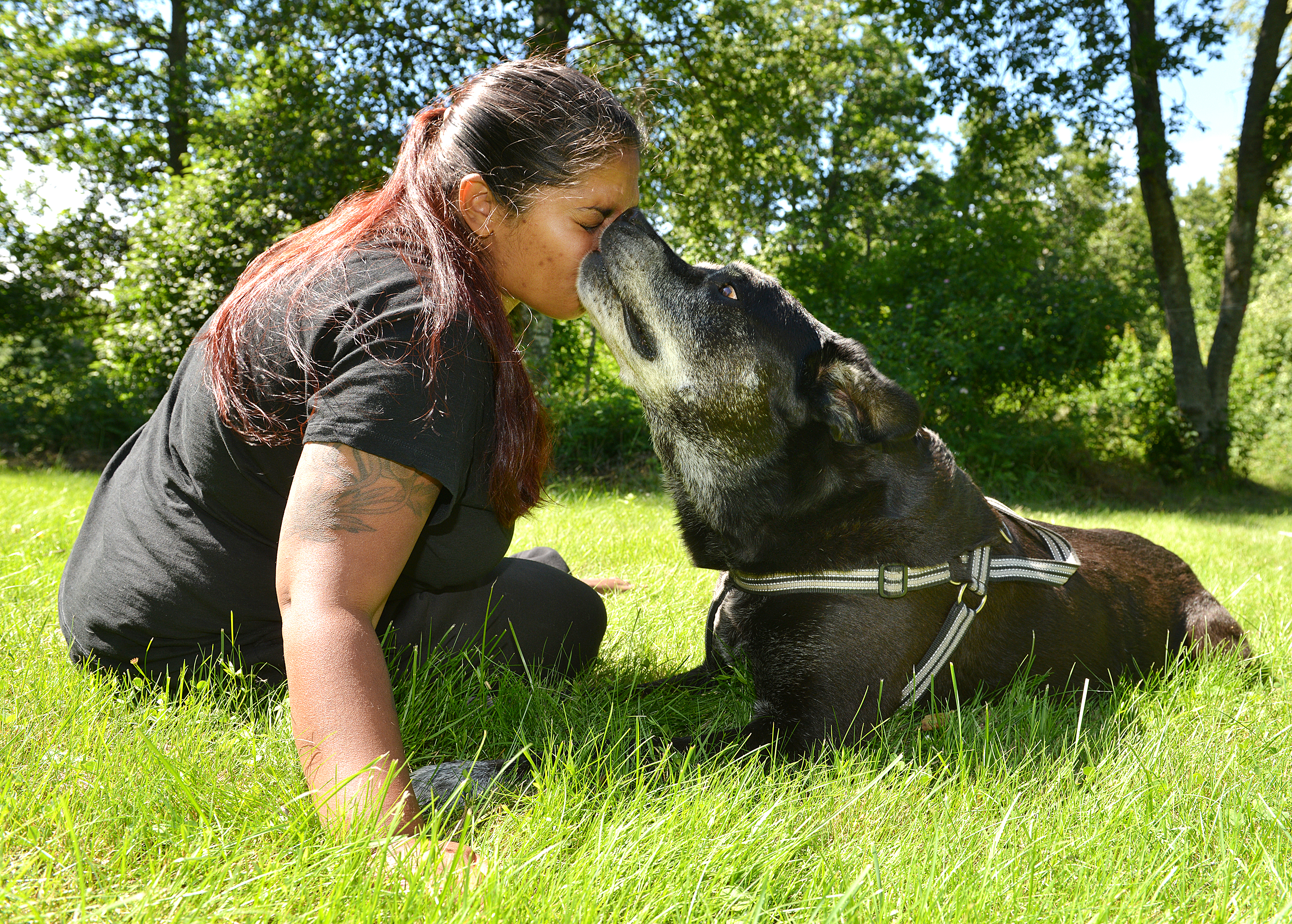 Hundinstruktör tror på tillit