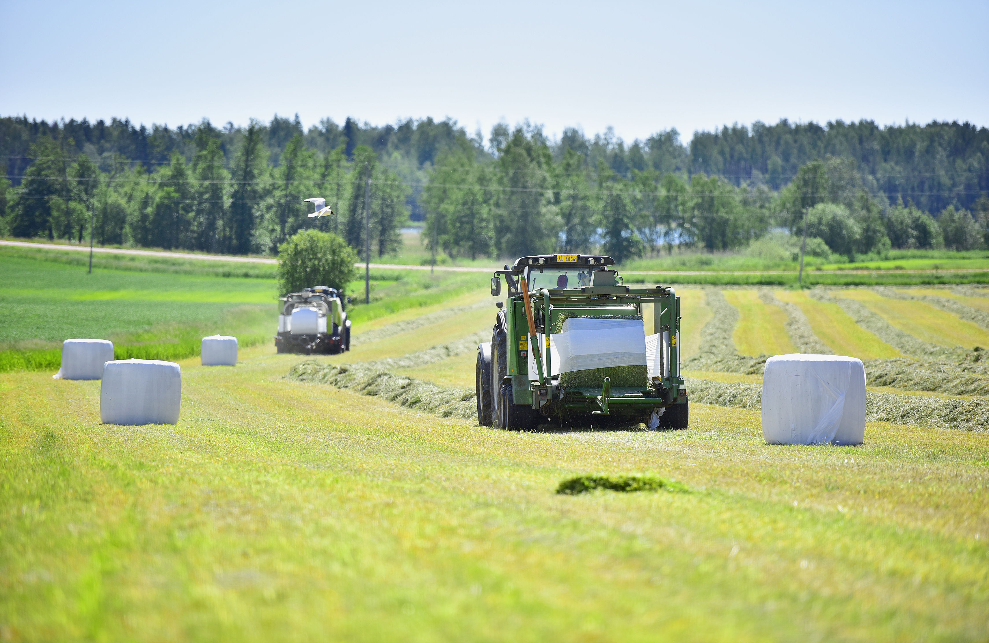 Jordbruket kan visa vägen i klimatfrågan