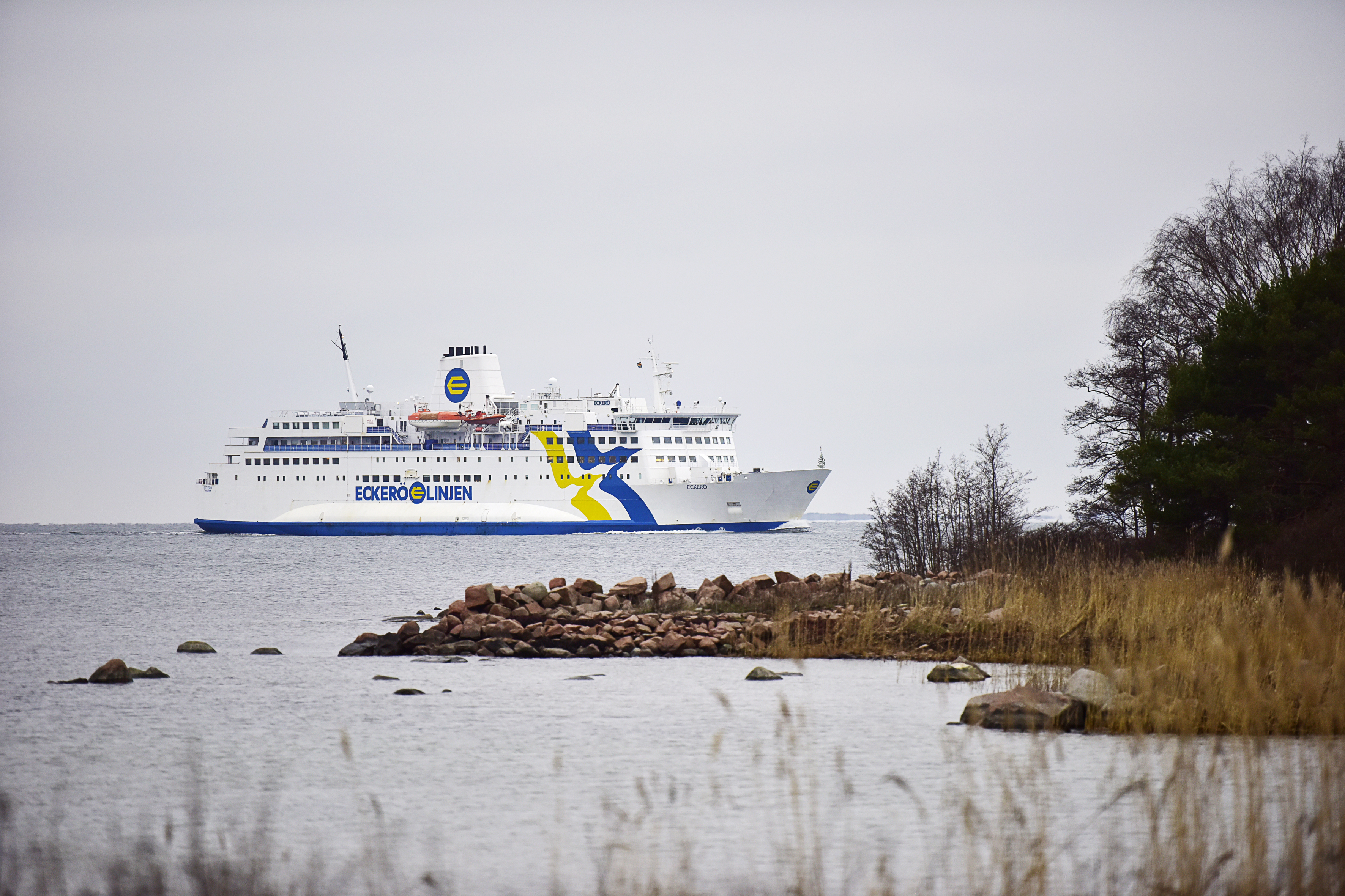 Oklart om kryssningsresenärers karantän