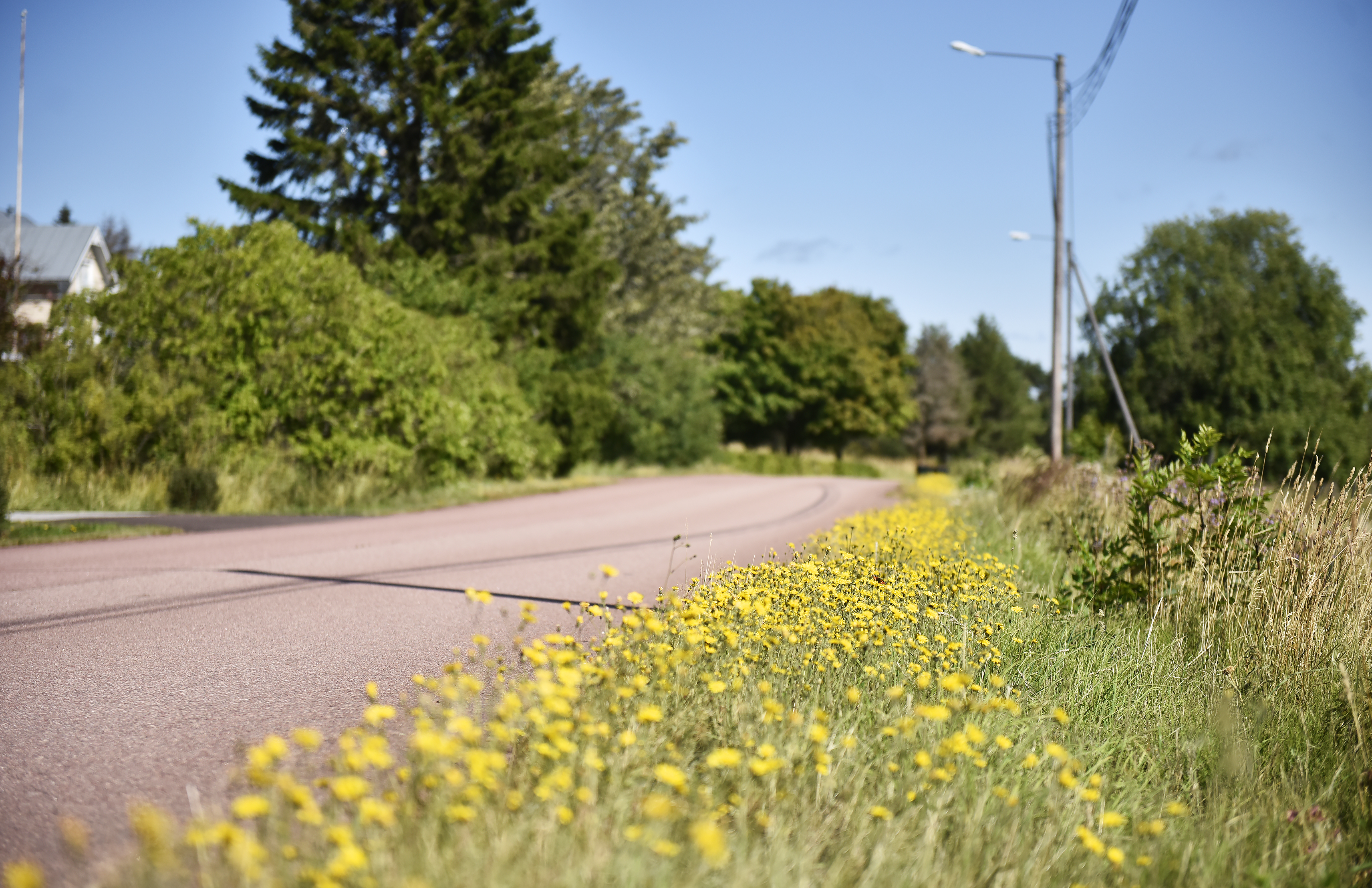 Det behövs en vision för färgglada diken