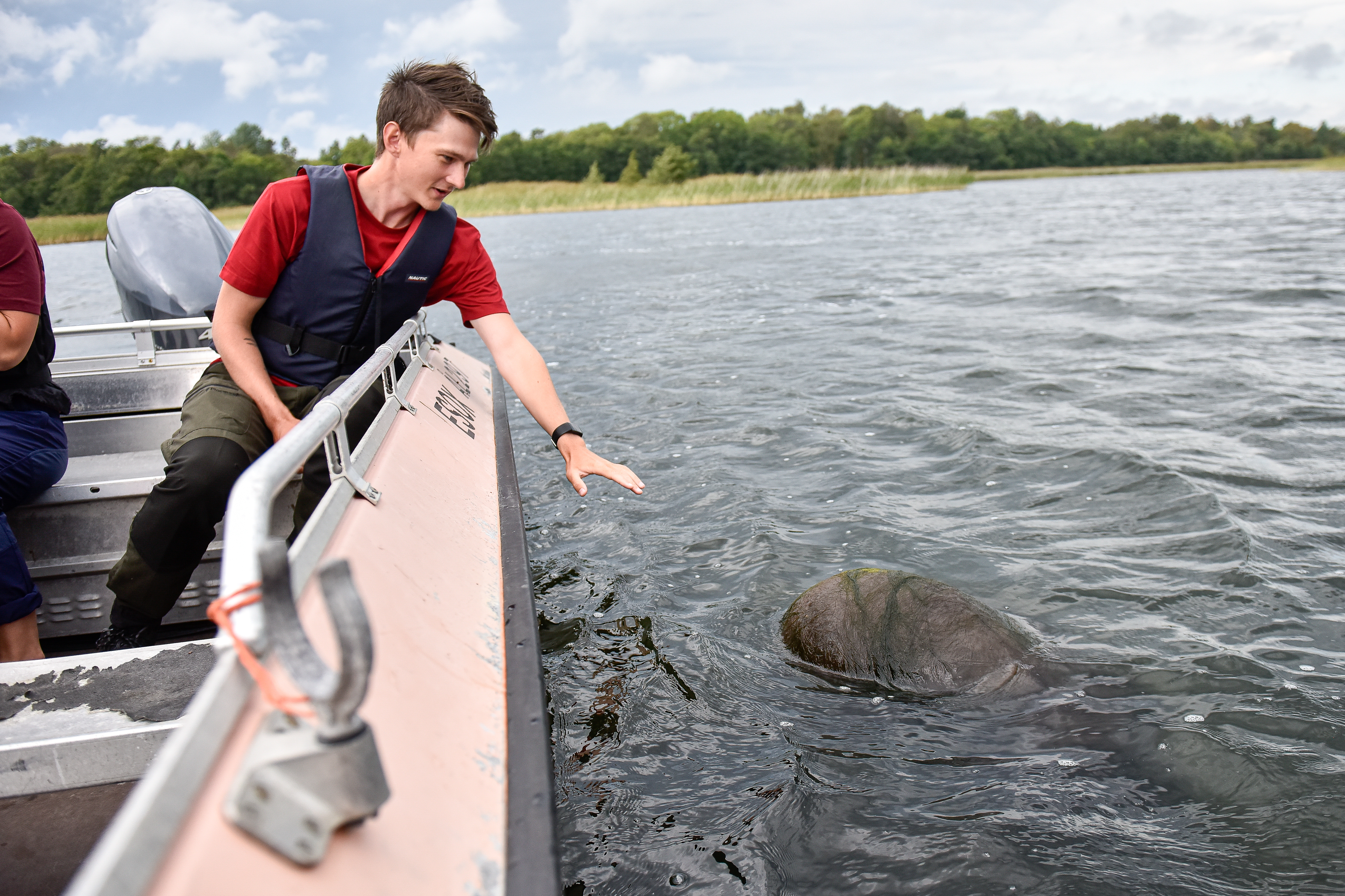 Värmen gör att gasbollar bildas i vikarna