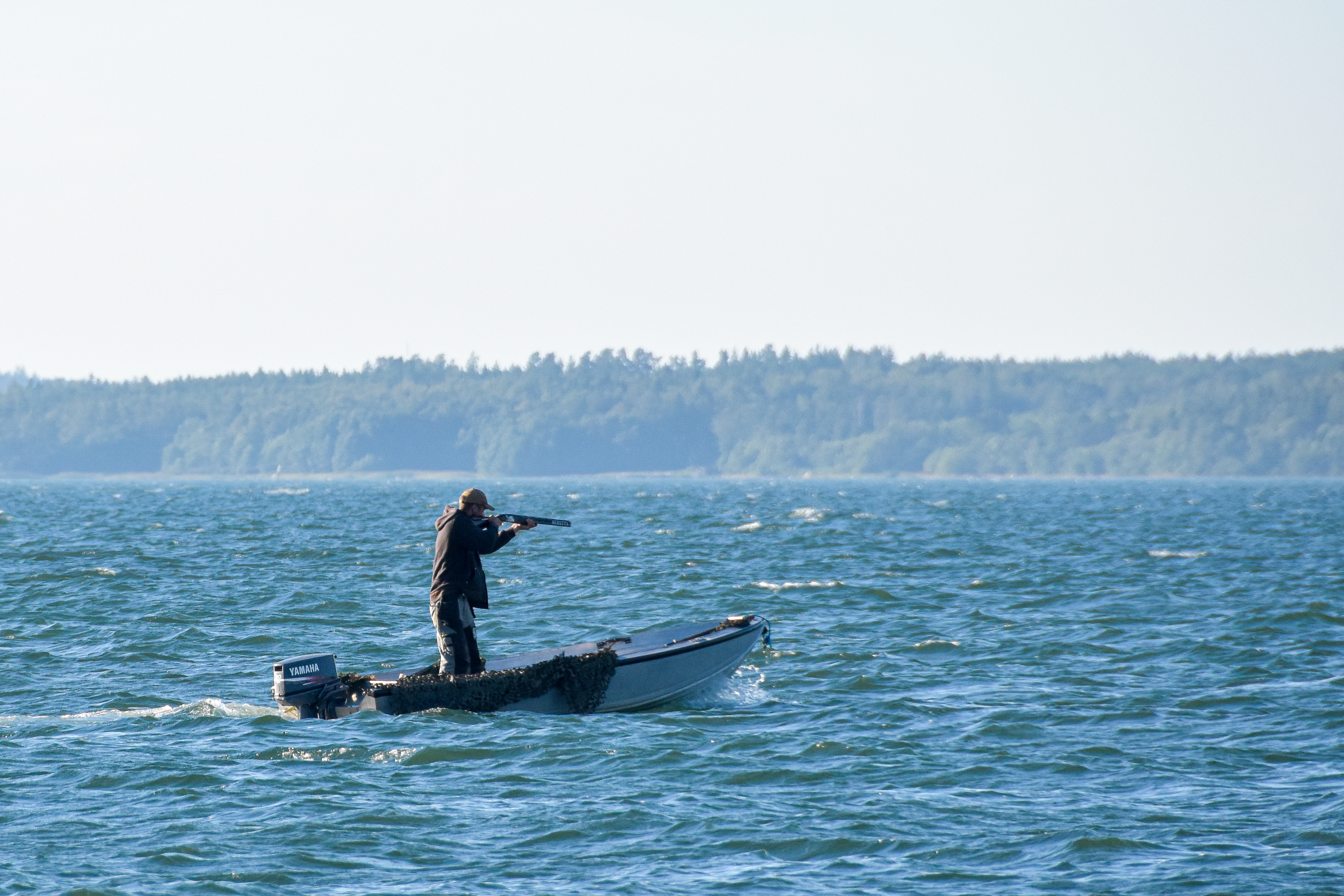 Nils Torvalds kritisk mot blyghagelförbud