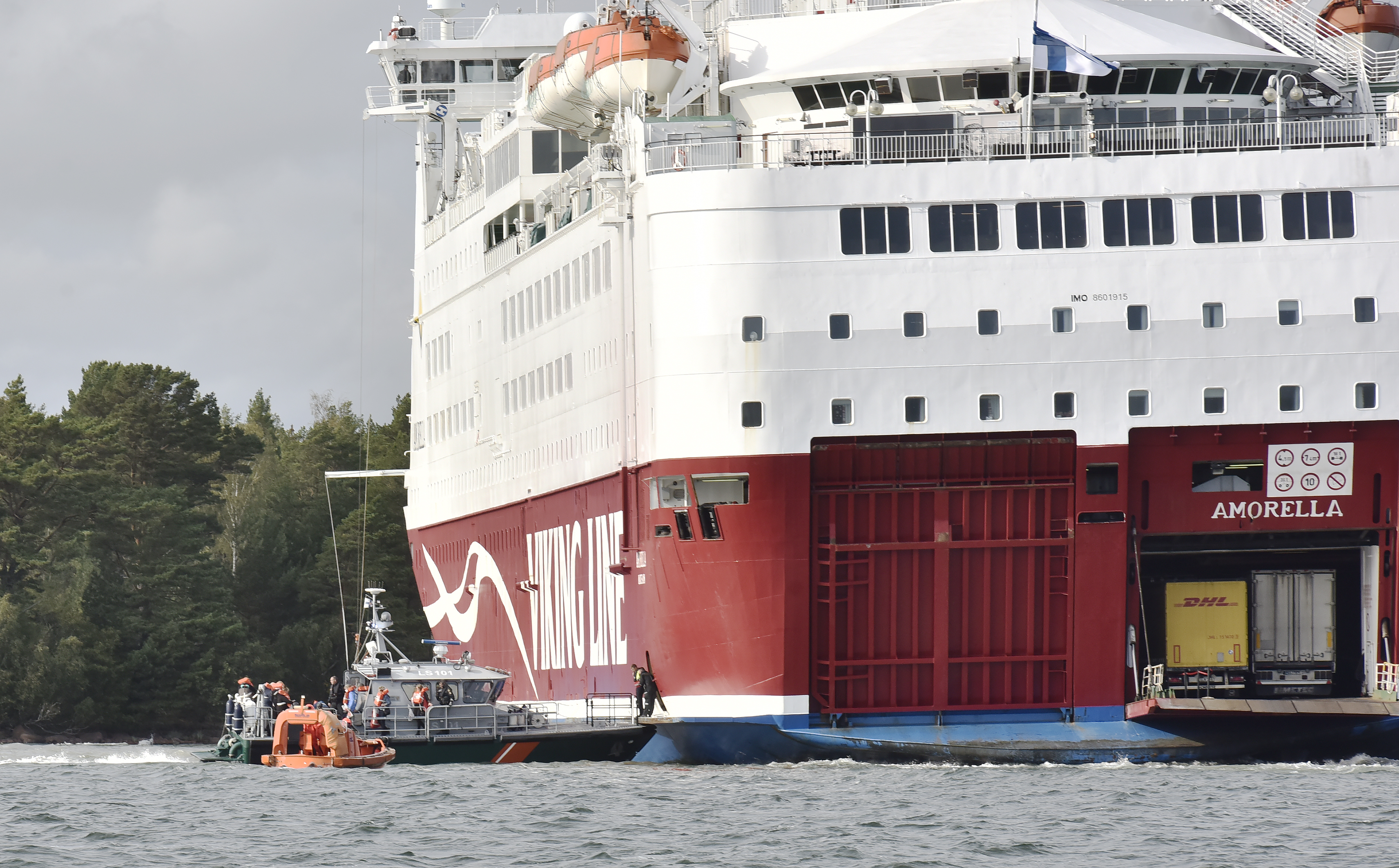 Amorellas botten är skadad