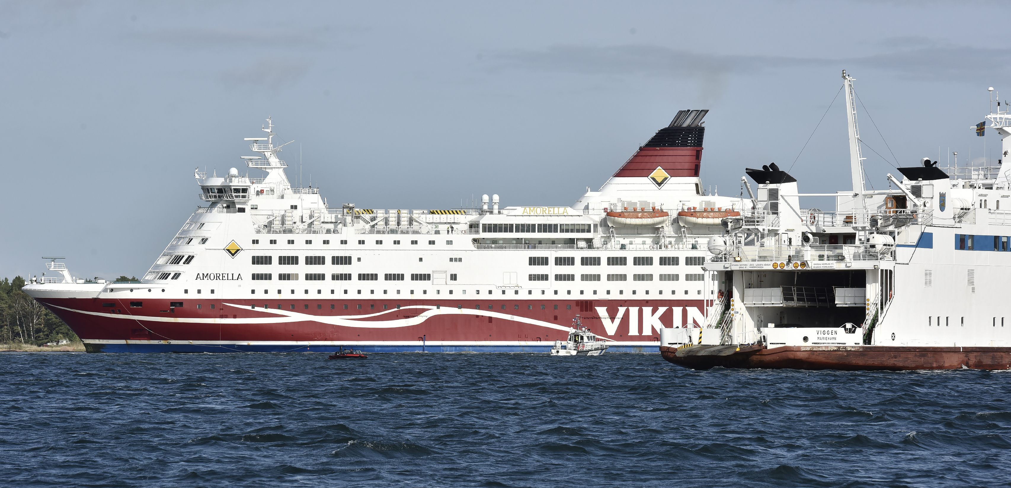 Amorella flyttas inte i dag