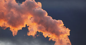 Den förorenade döden