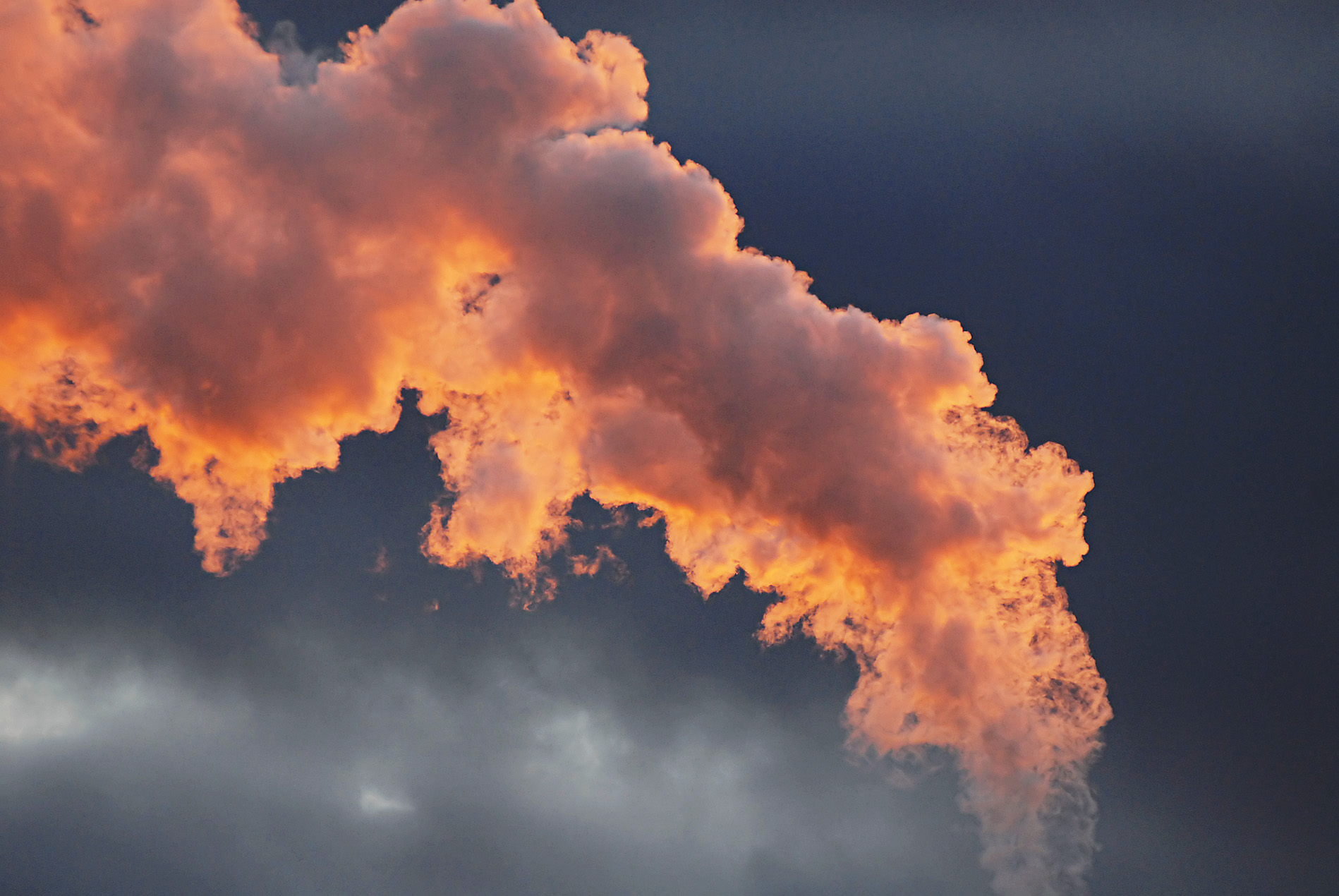 Den förorenade döden