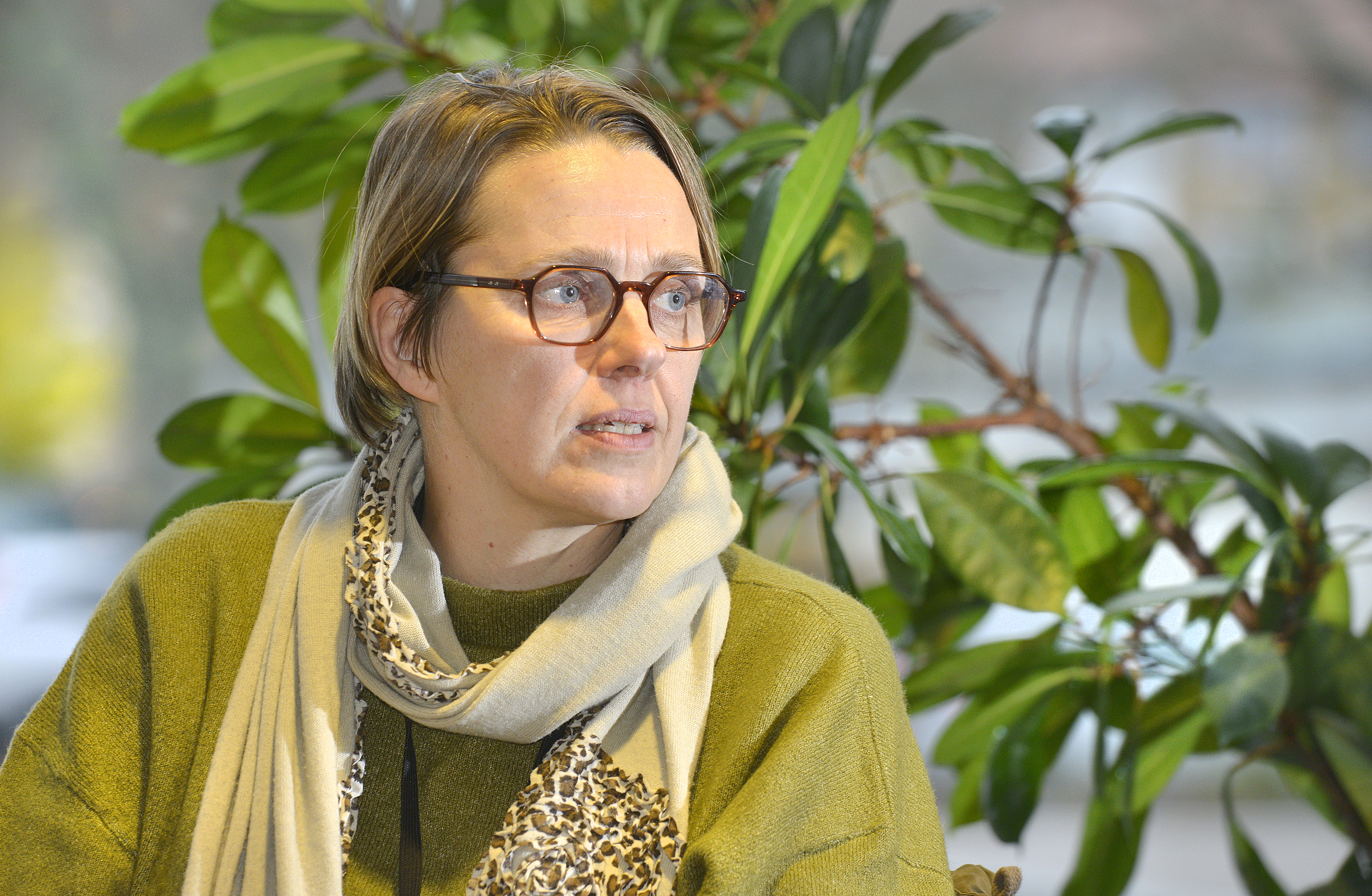 Donning blir inte stadsdirektör