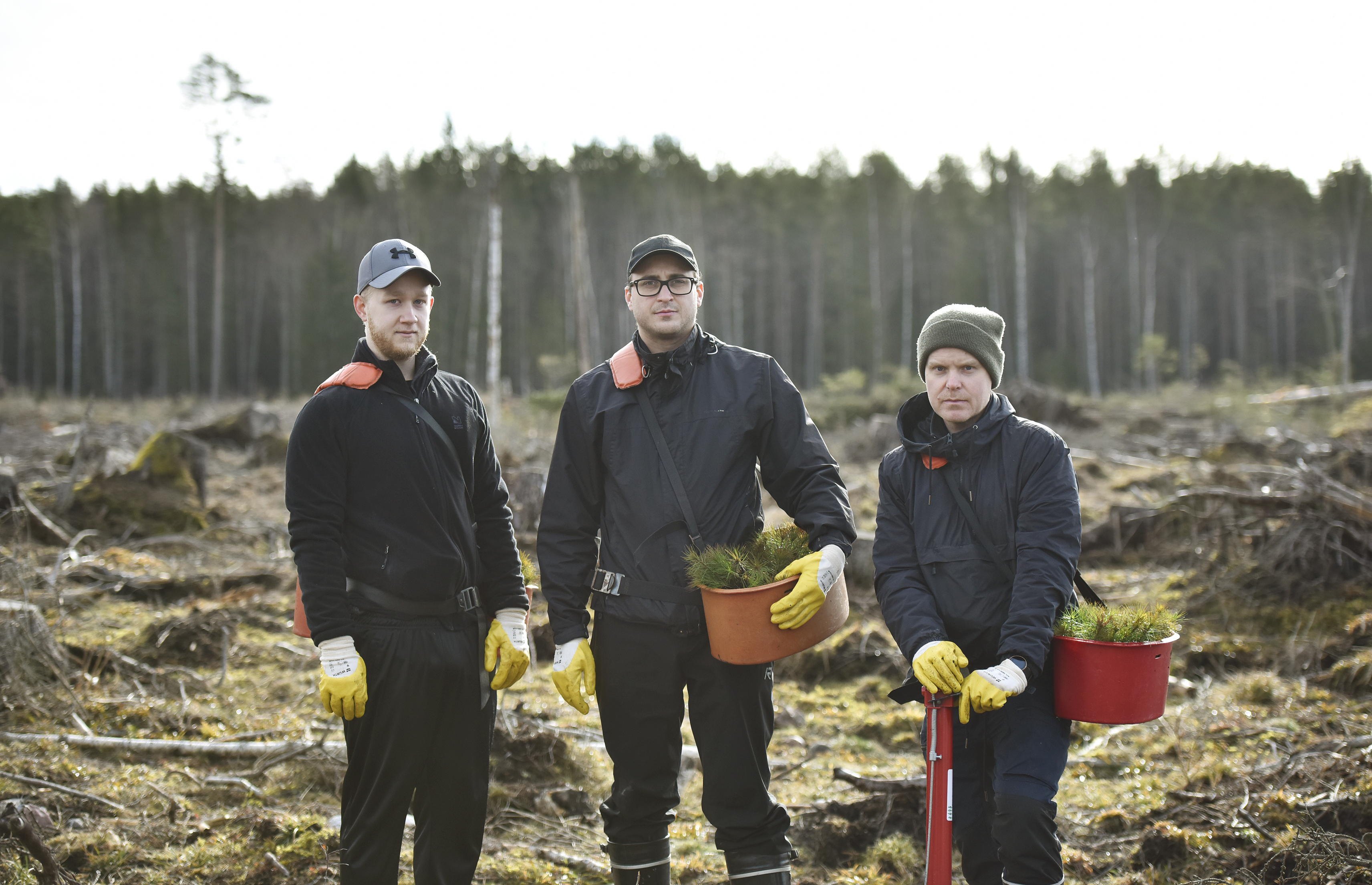 De permitterades från köket och drog till skogs