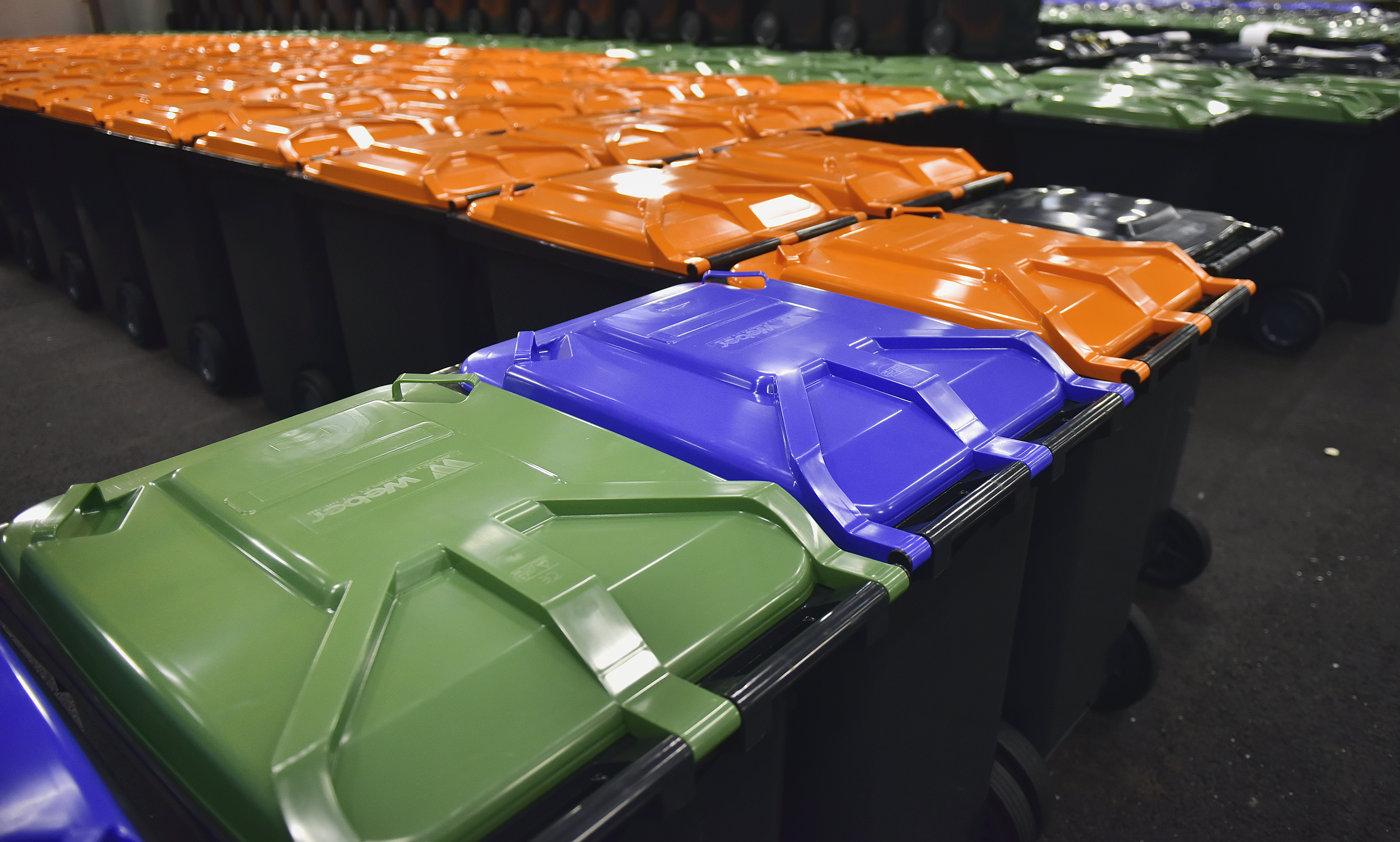 Mise tänker inte överklaga Åfd-beslut