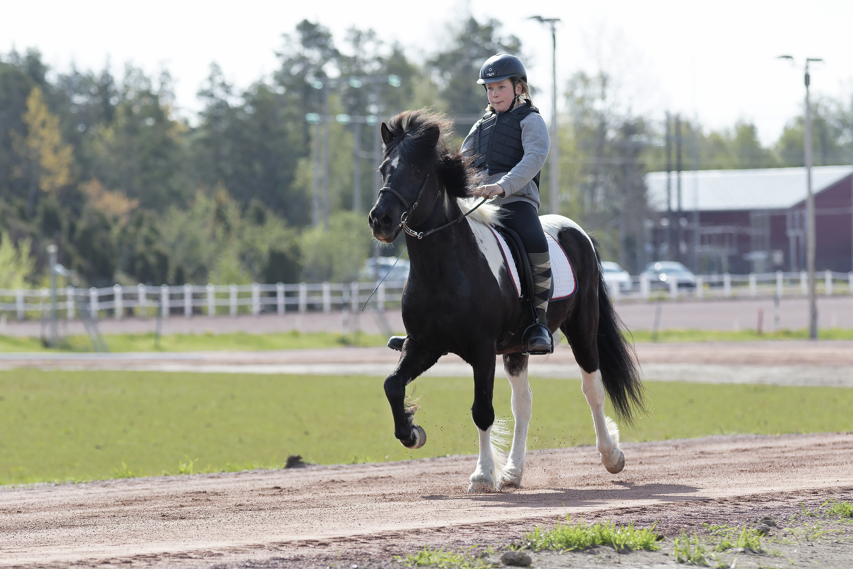Glad stämning på smyginvigning av islandshästoval
