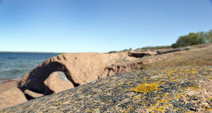 Finländarna har redan räddat två turistsäsonger