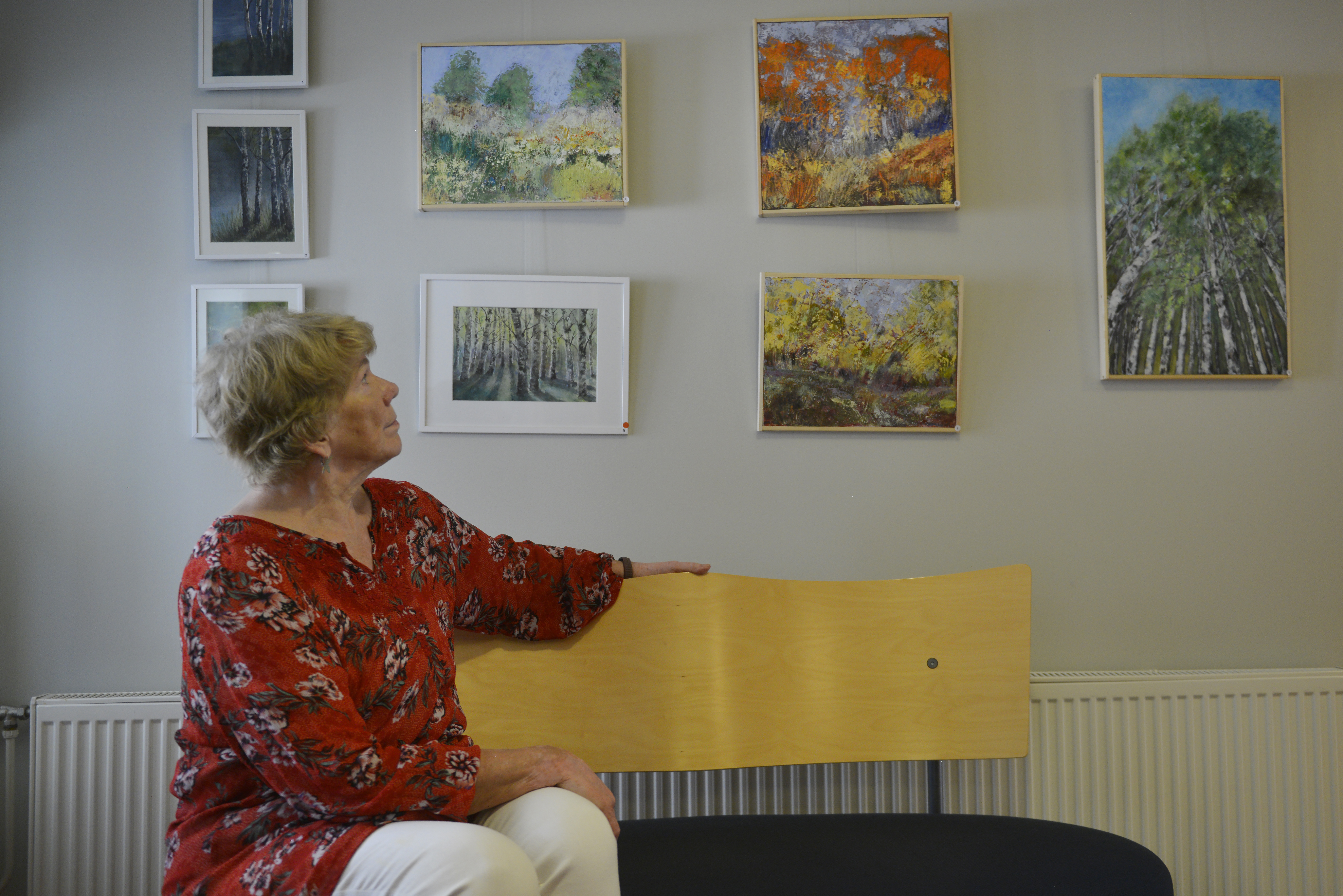Skog och natur motiv i utställning