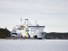 Eckeröbuss i diket norr om Norrtälje