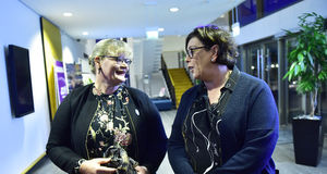 Alternativet till regeringen blir allt otydligare