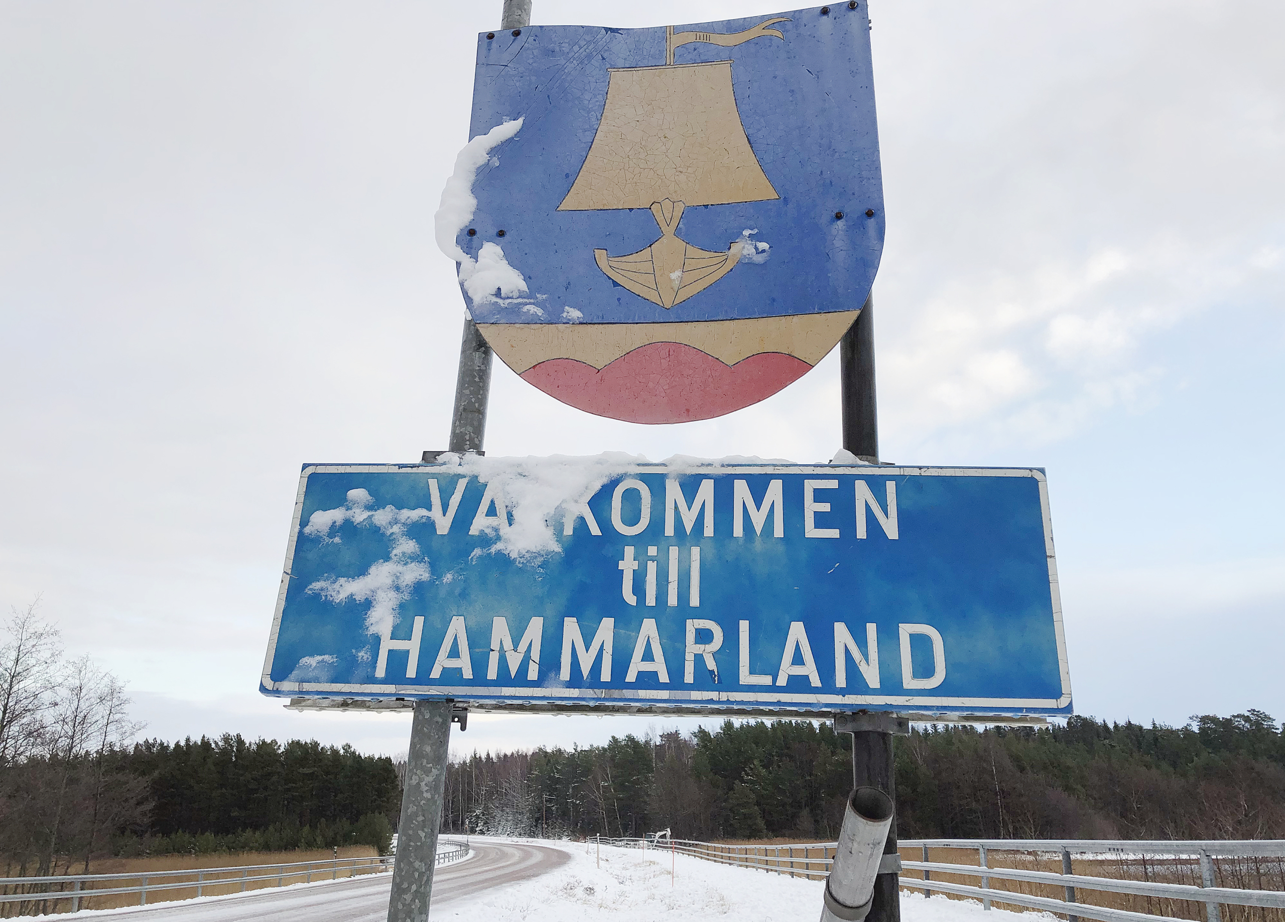 De ställer upp i kommunalvalet i Hammarland