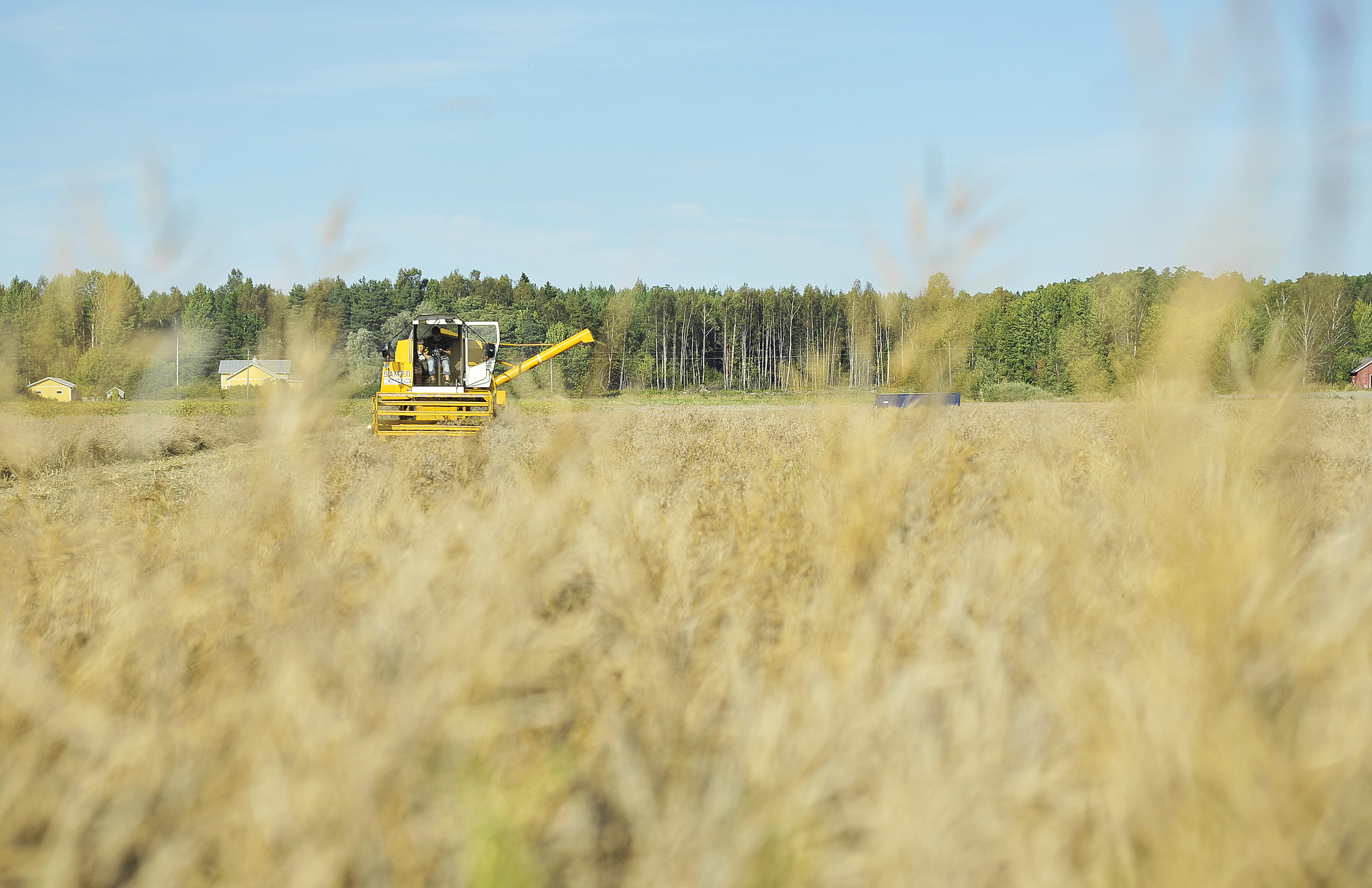 Jordbruksstöd är ett konsumentstöd