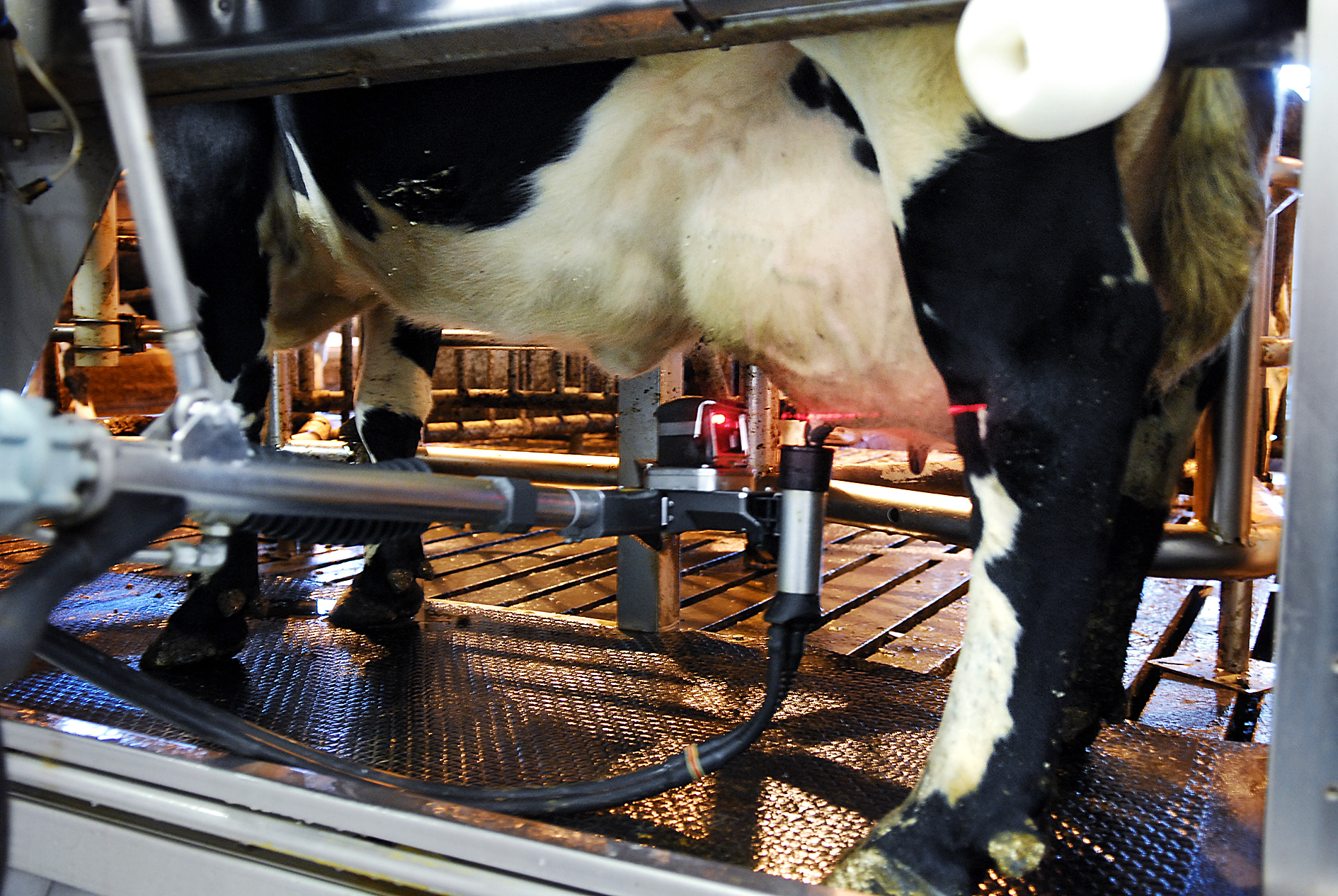 Prispress hotar djurbönder