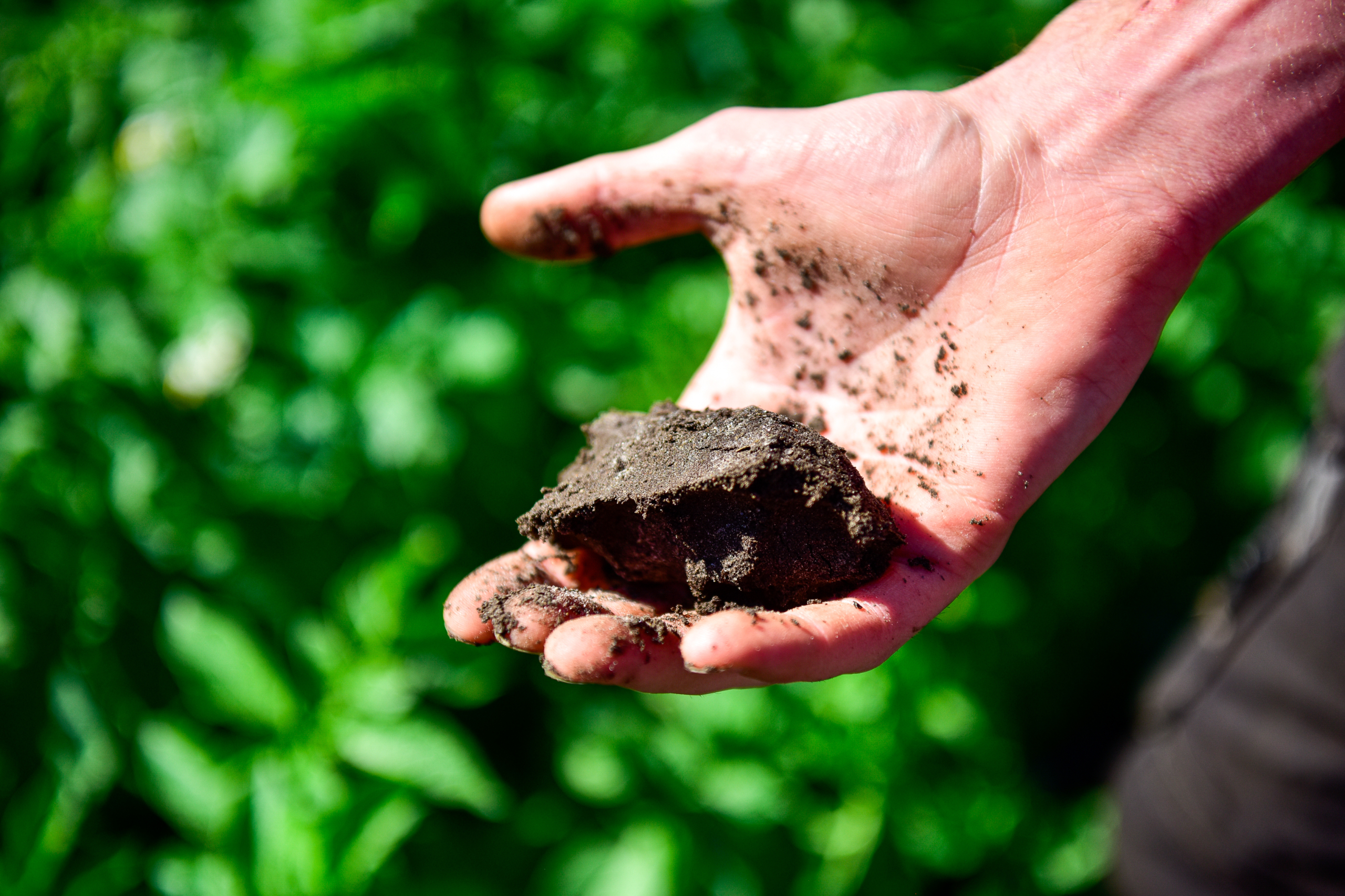 Vi tar matjorden för givet