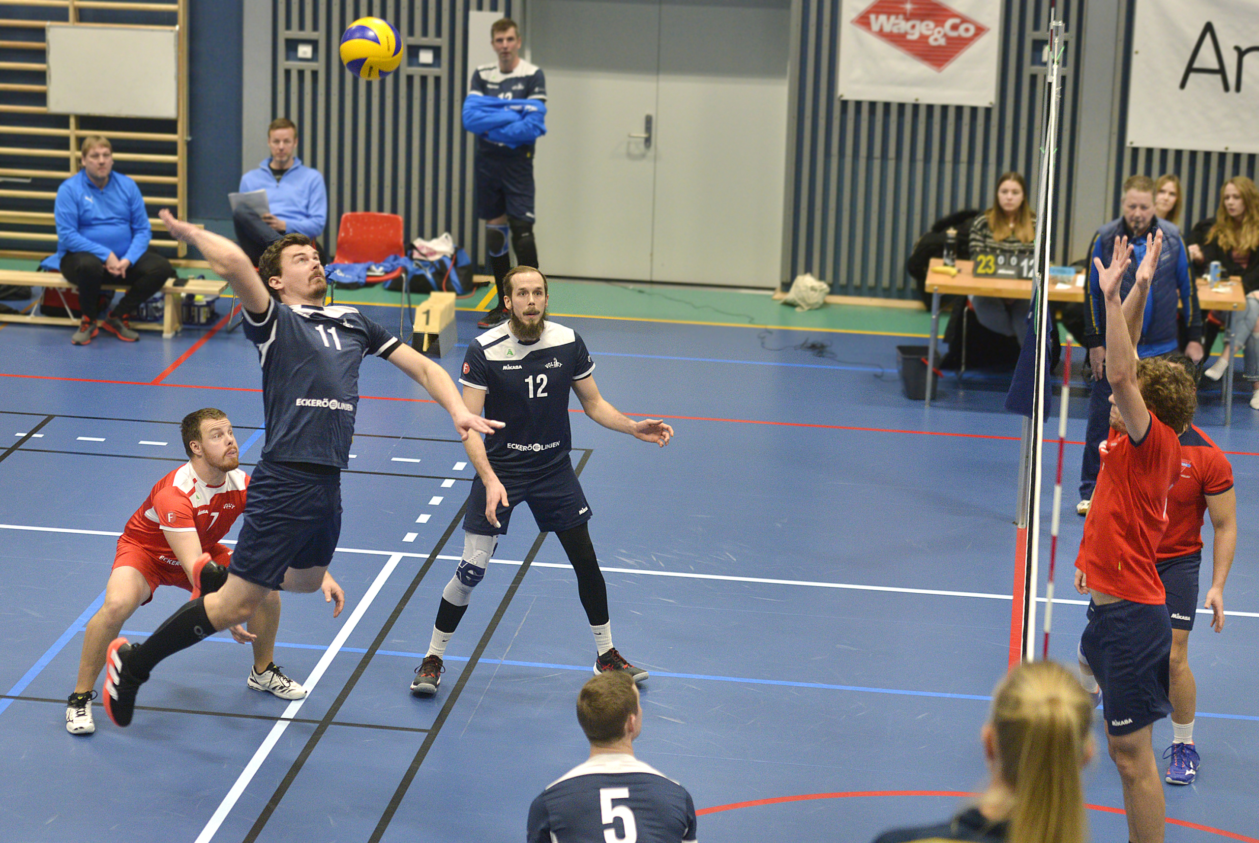 Volleyherrarna förtjänar hårdare motstånd