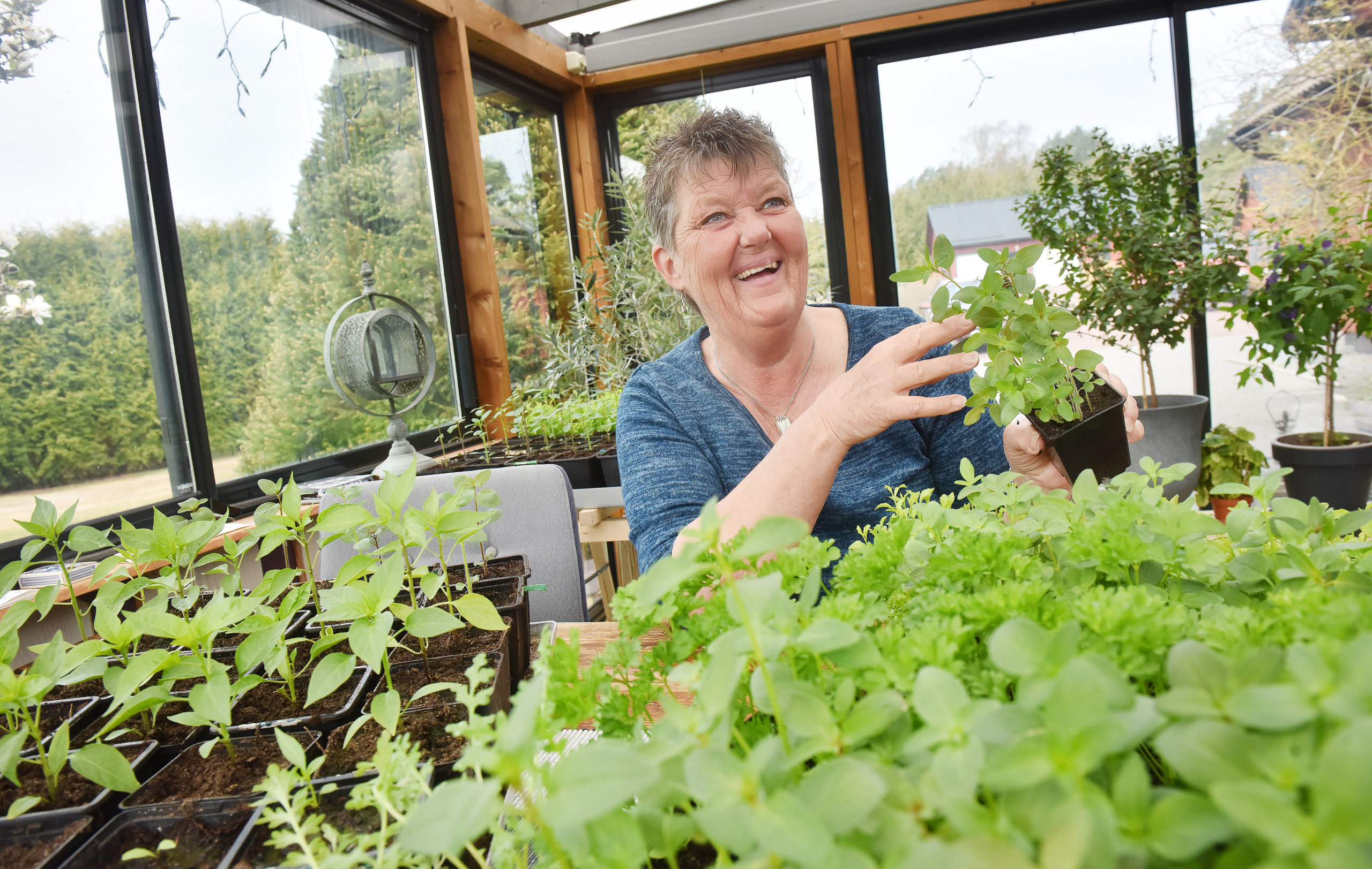 Pratstunden: Det är inte Gerds stil att sitta still