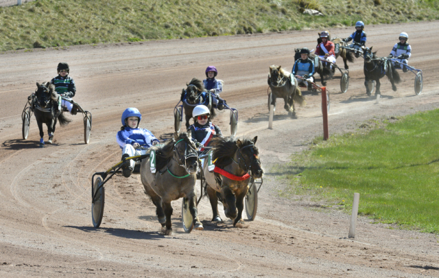 Små och stora kuskade runt på Ålandstravet