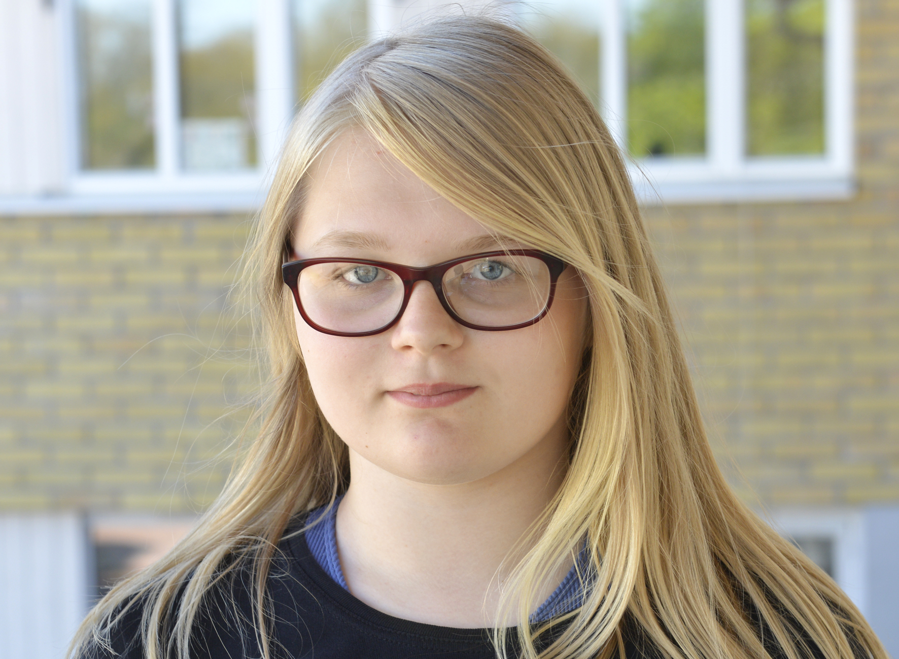 Vilket är ditt drömyrke?