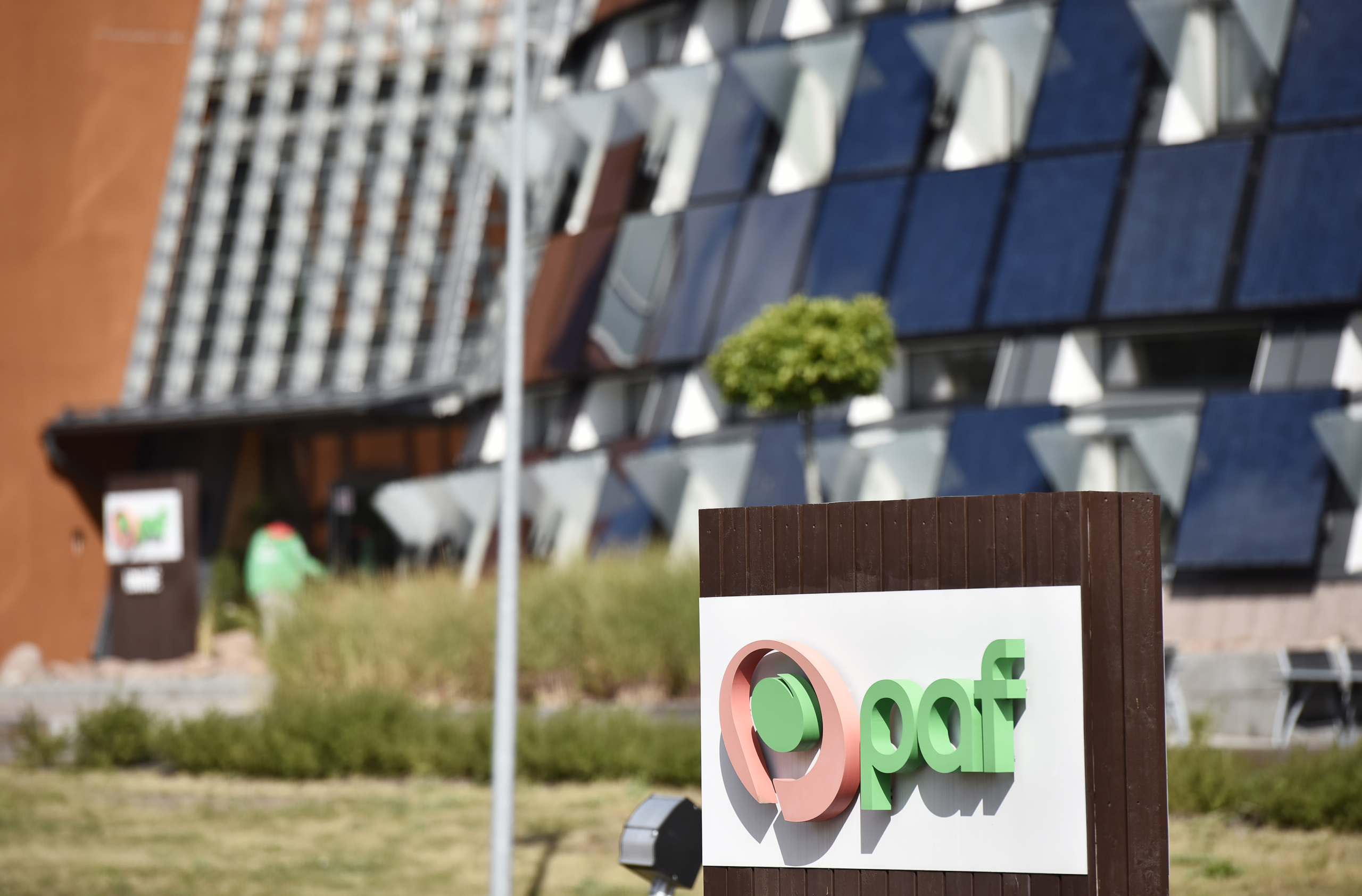 Inget besvärstillstånd för missnöjd Paf-spelare