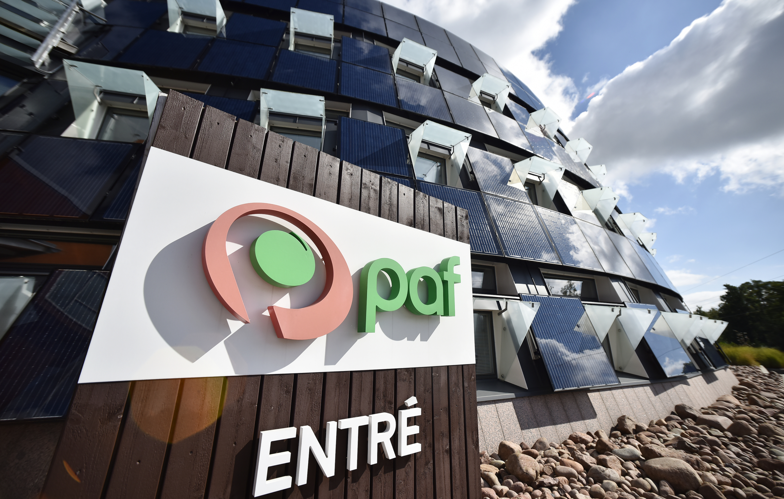 Grön riksdagsledamot fick pengar av Paf