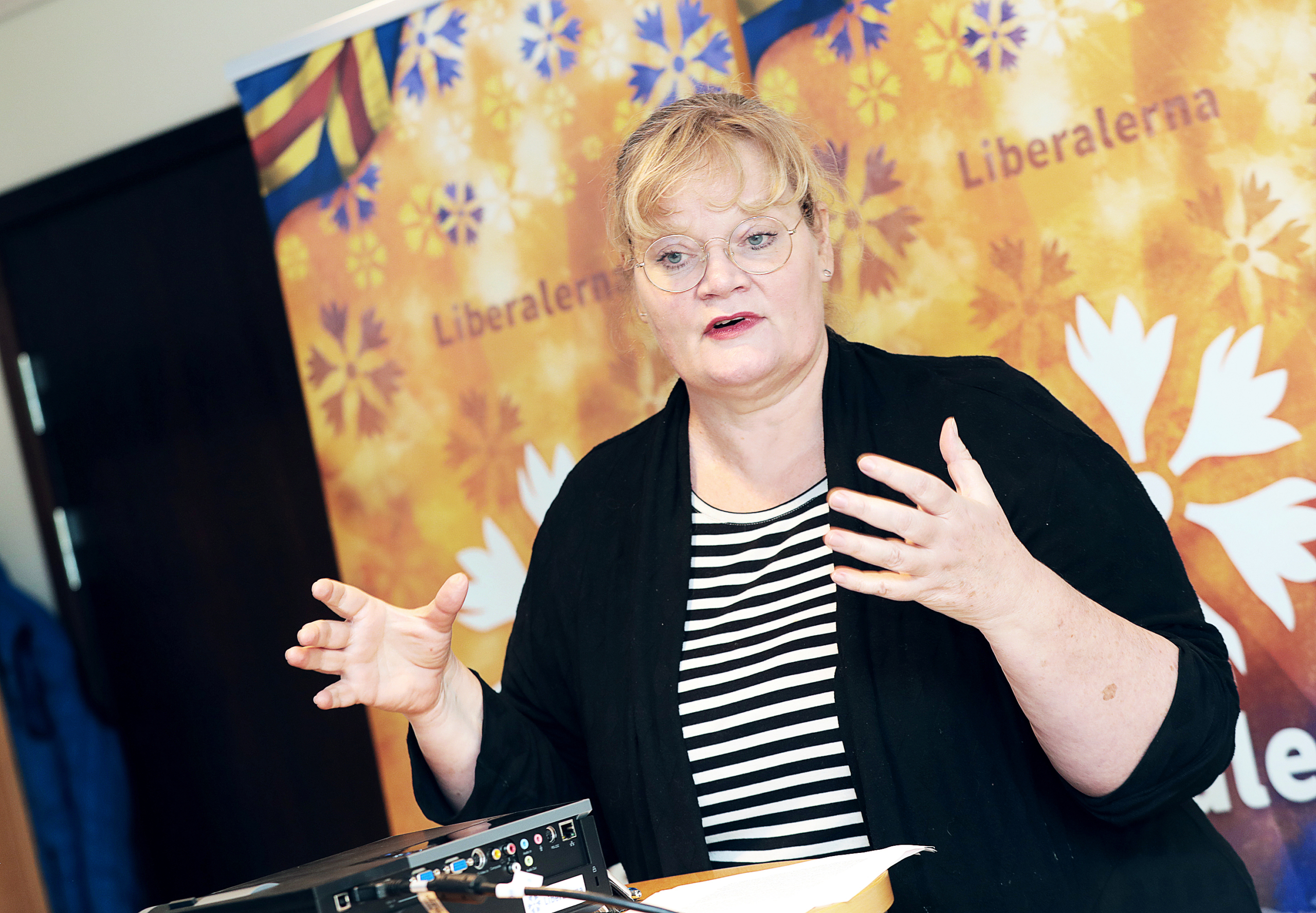 Katrin Sjögren om skattegränsen: ”Digitaliseringen är ett misslyckande”