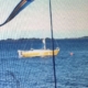 Hallberg-Rassy