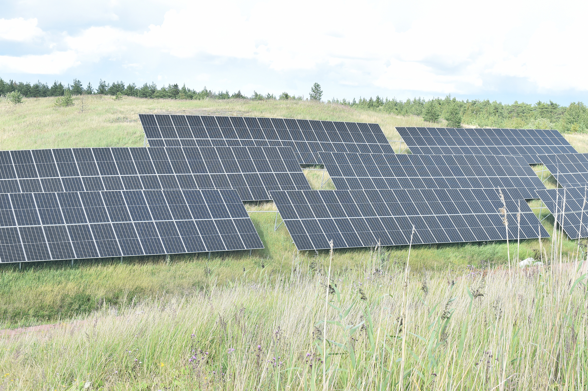 Rekordstor solkraftssatsning för Svinryggen