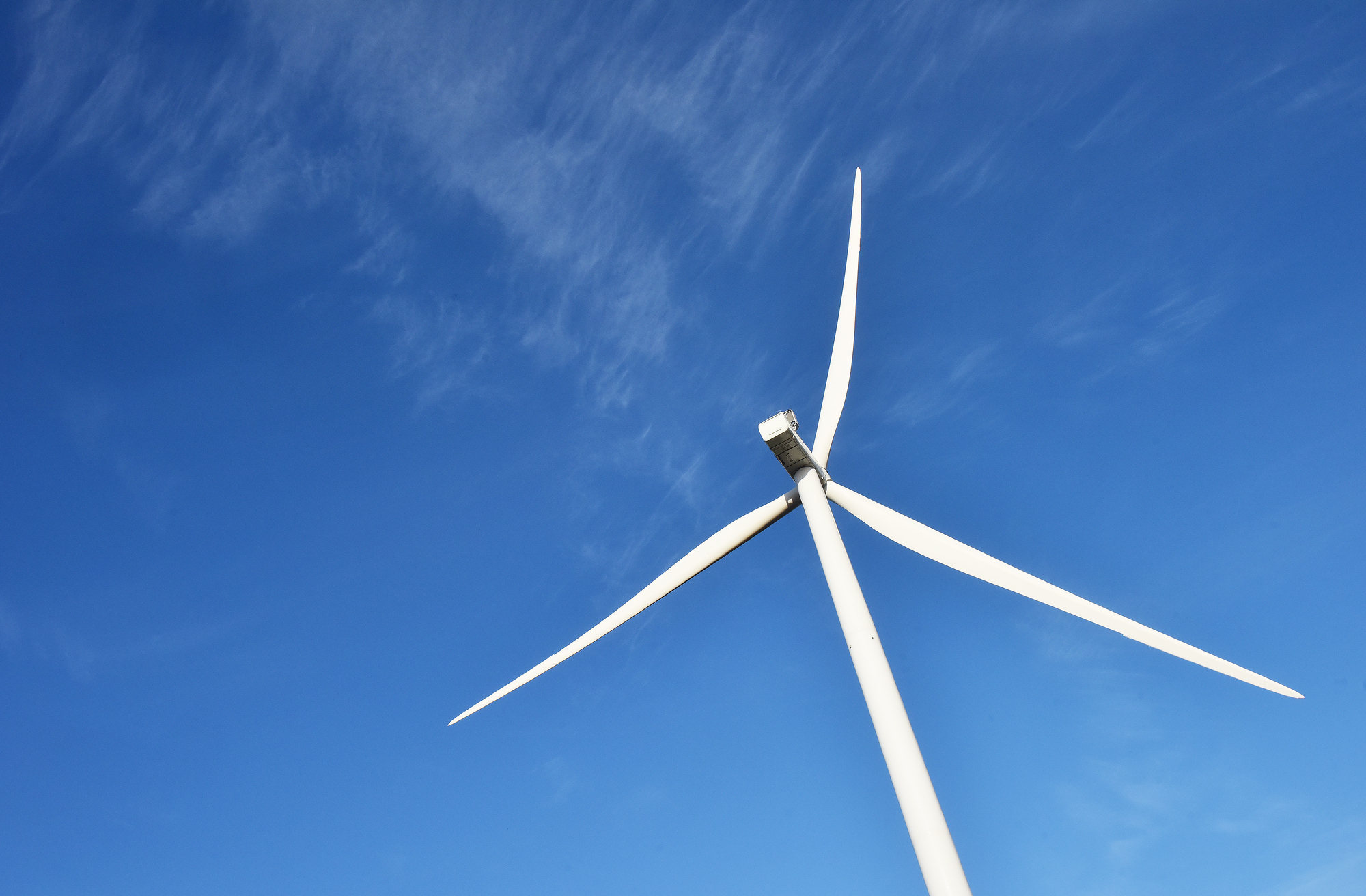 ”Det är respekten, dumskalle”