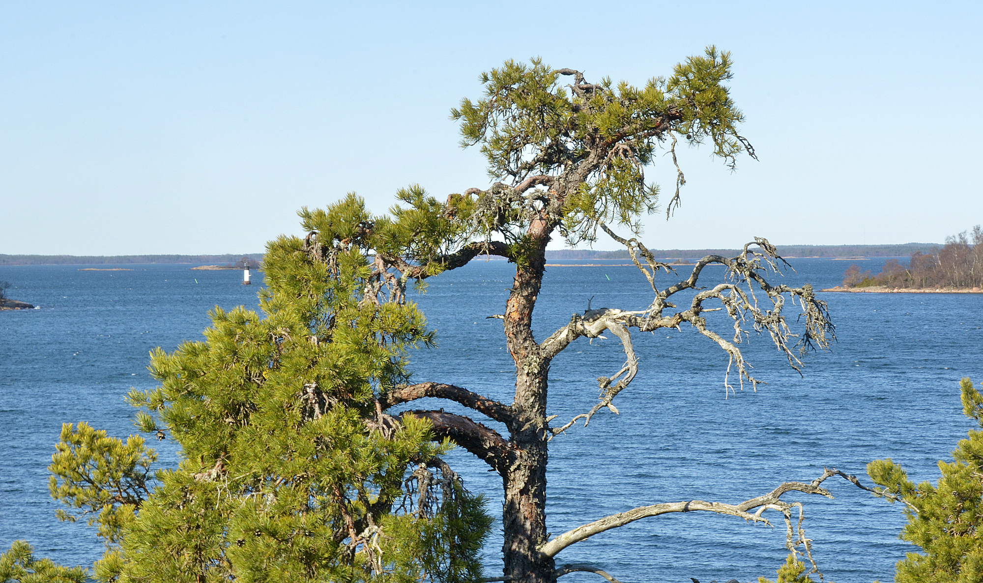 Motstridig miljöpolitik