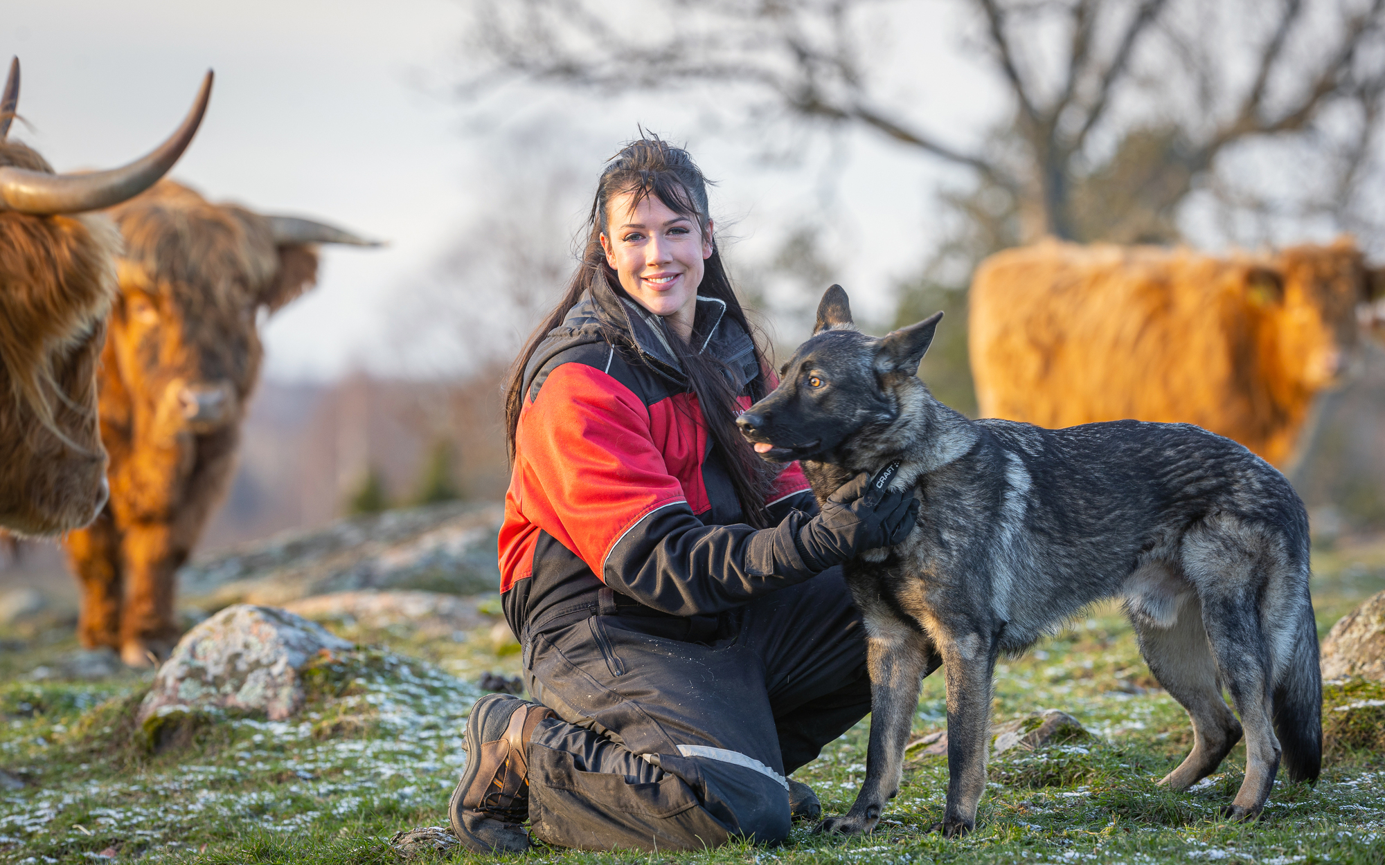 Och de nominerade är…
