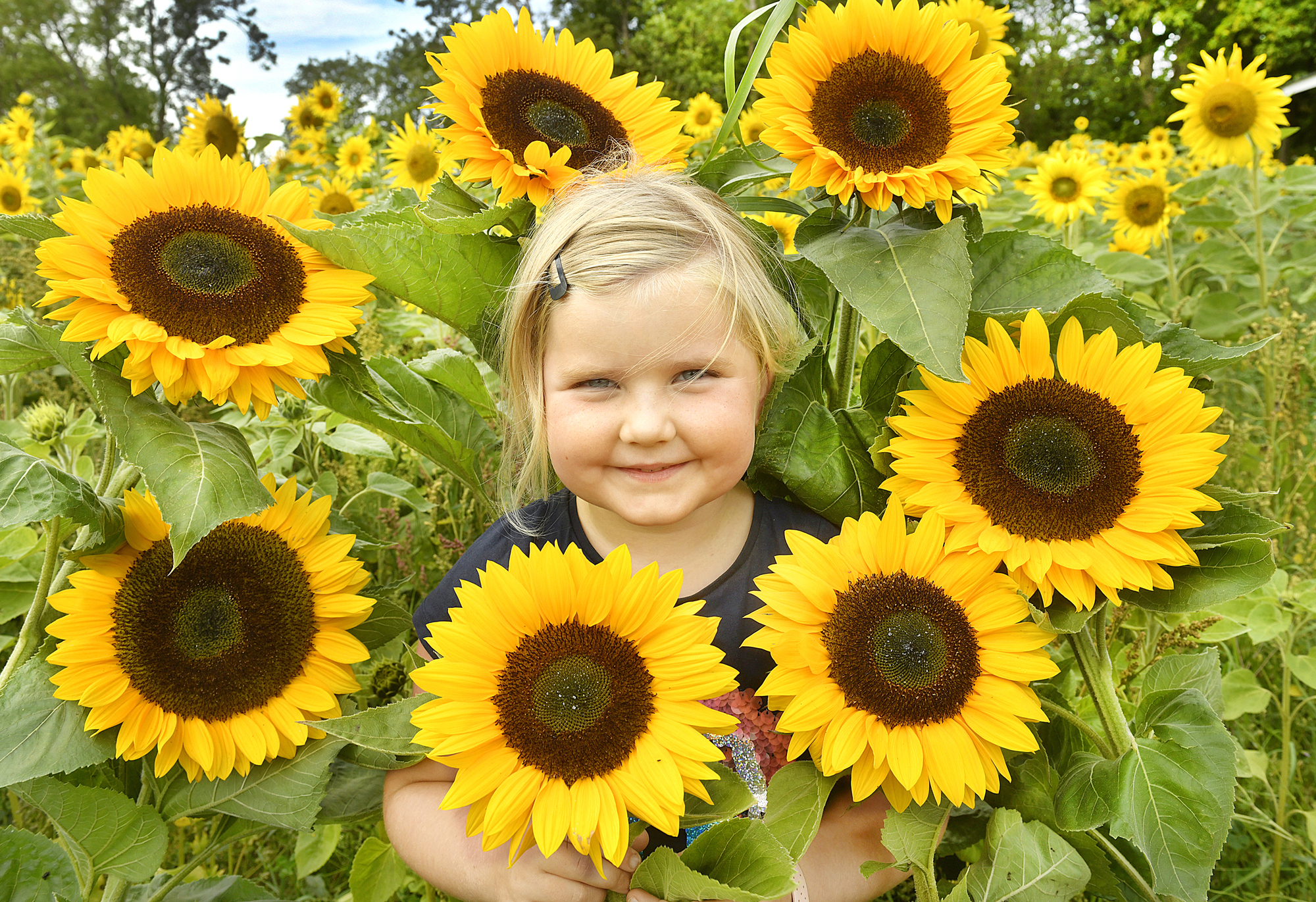 Året 2023 genom Nyanfotografernas lins – augusti