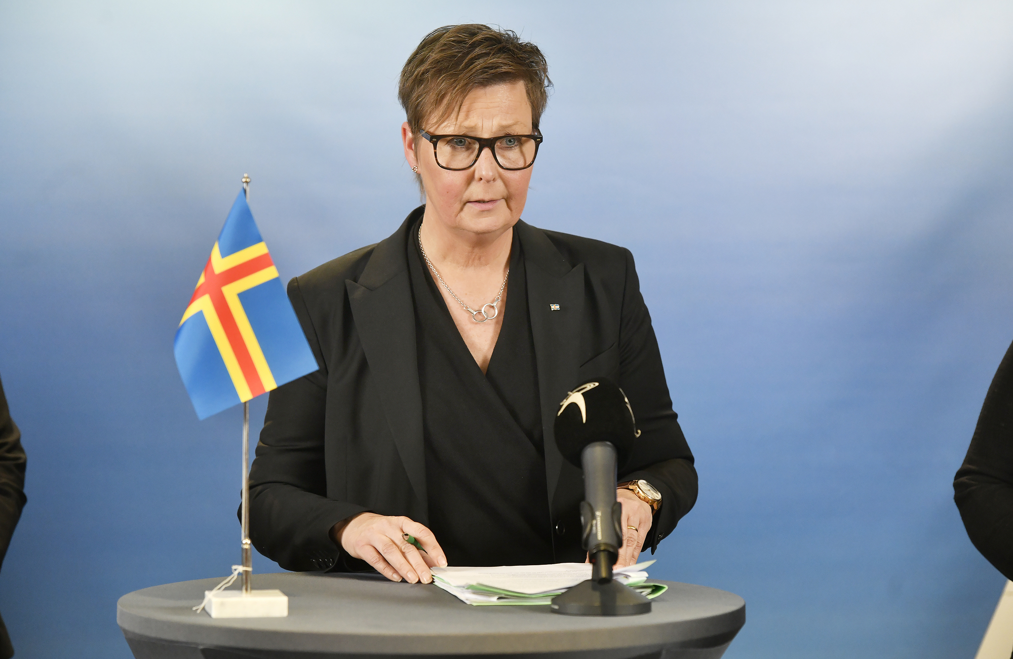 Centern vill förkovra sig i landskapsandelar