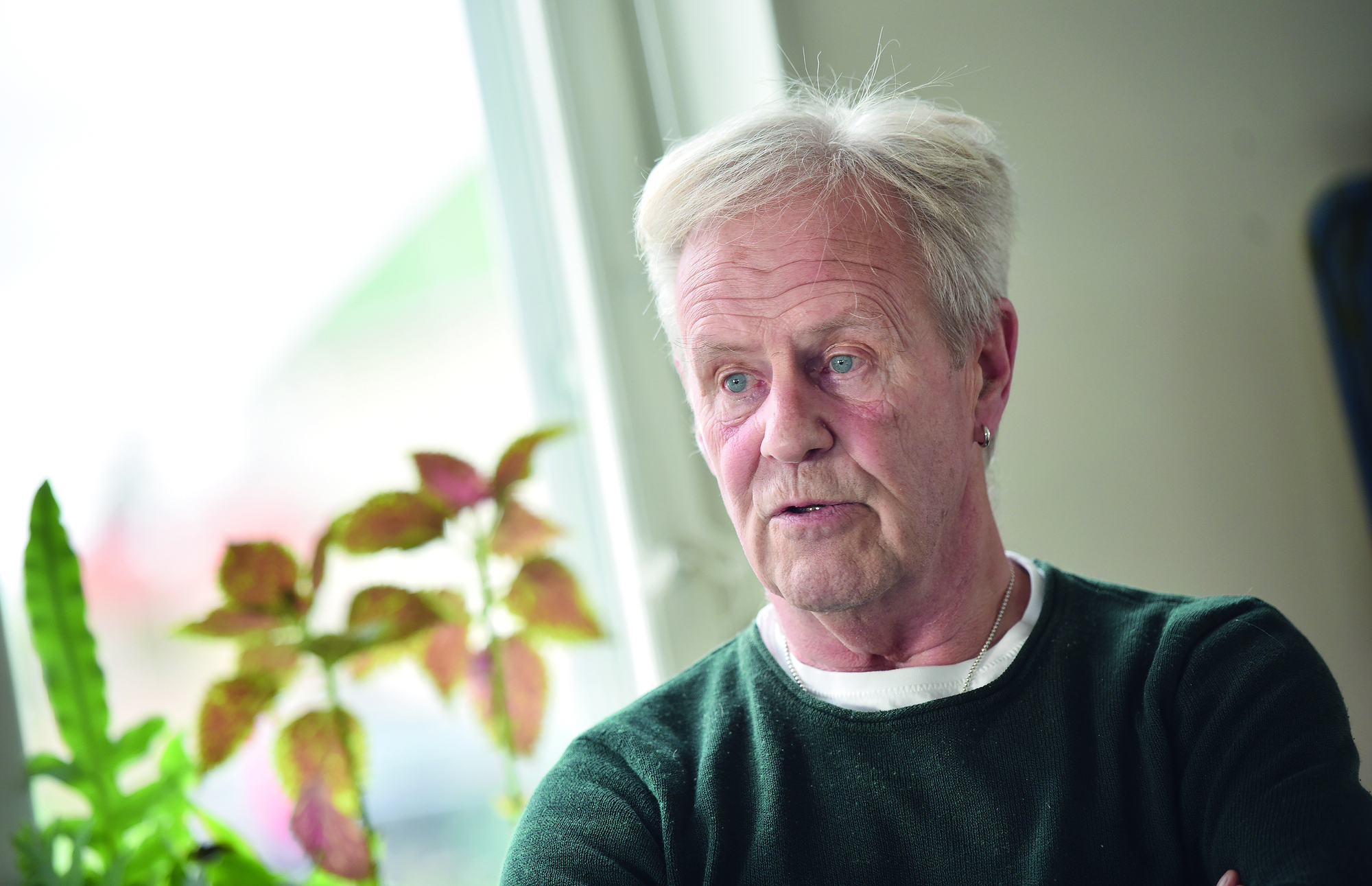 Statsvetare är skeptisk till elhybrid-utredning