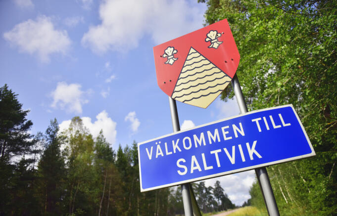 Saltviks kommundirektör säger upp sig