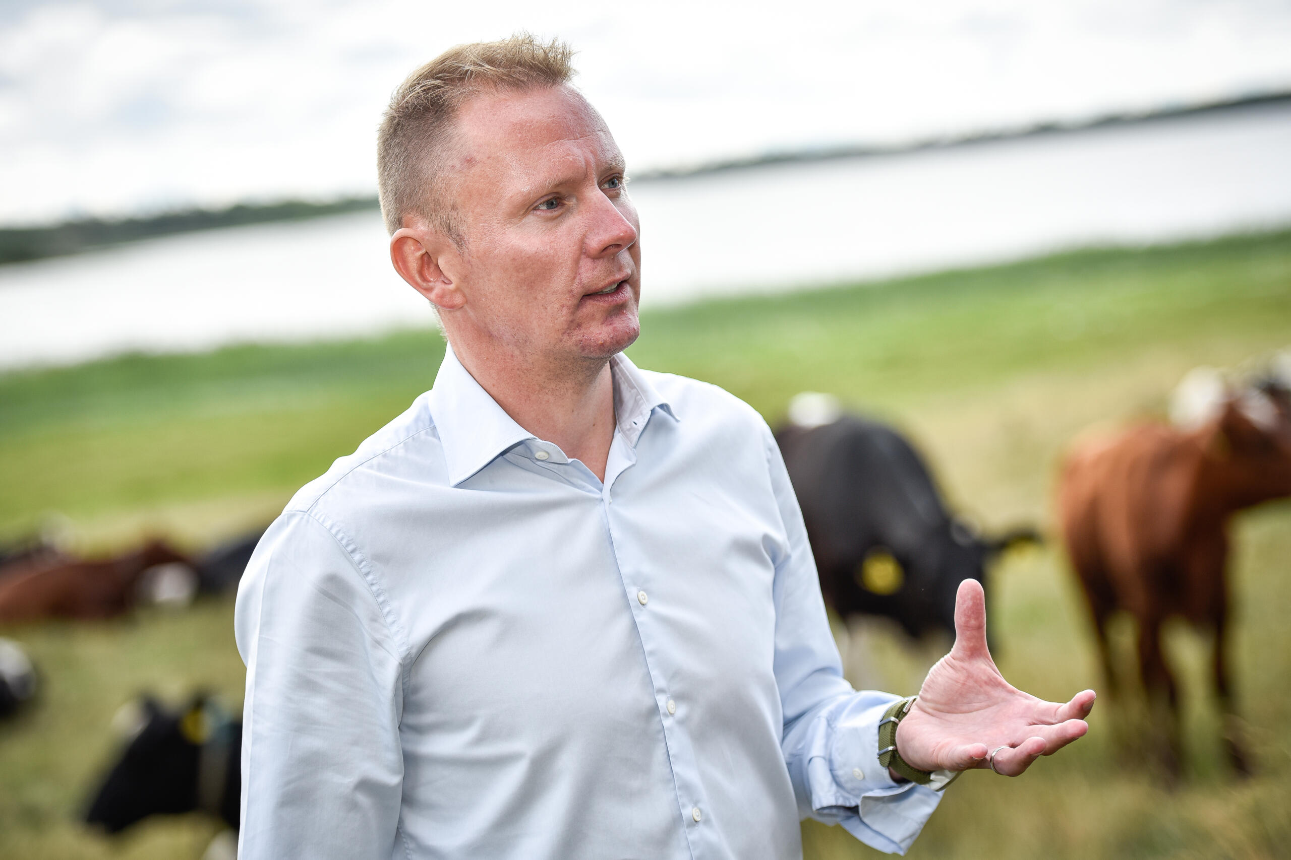 Mjölkstödet för mejerier är nu fastslaget – ÅCA ska ”analysera”