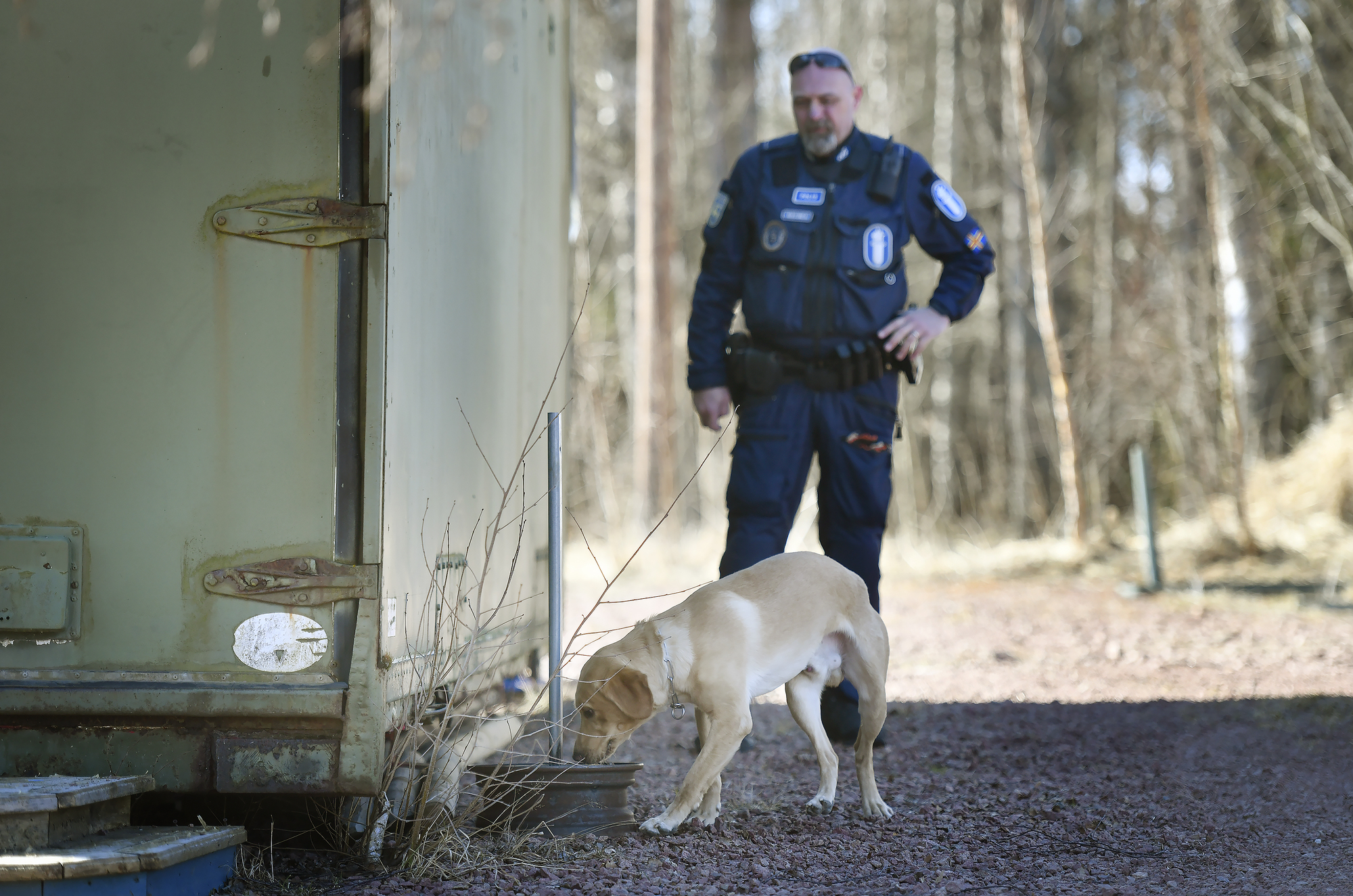 Pena har näsa för elektronik – unik polishund på Åland