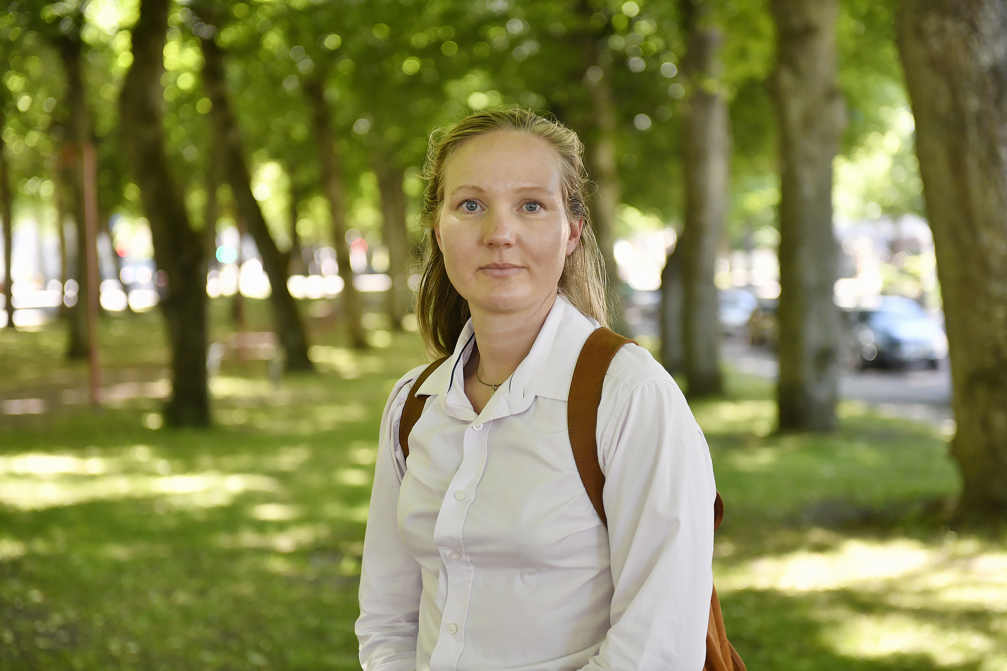 Landskapsveterinären anmäler chefer för trakasserier och hot