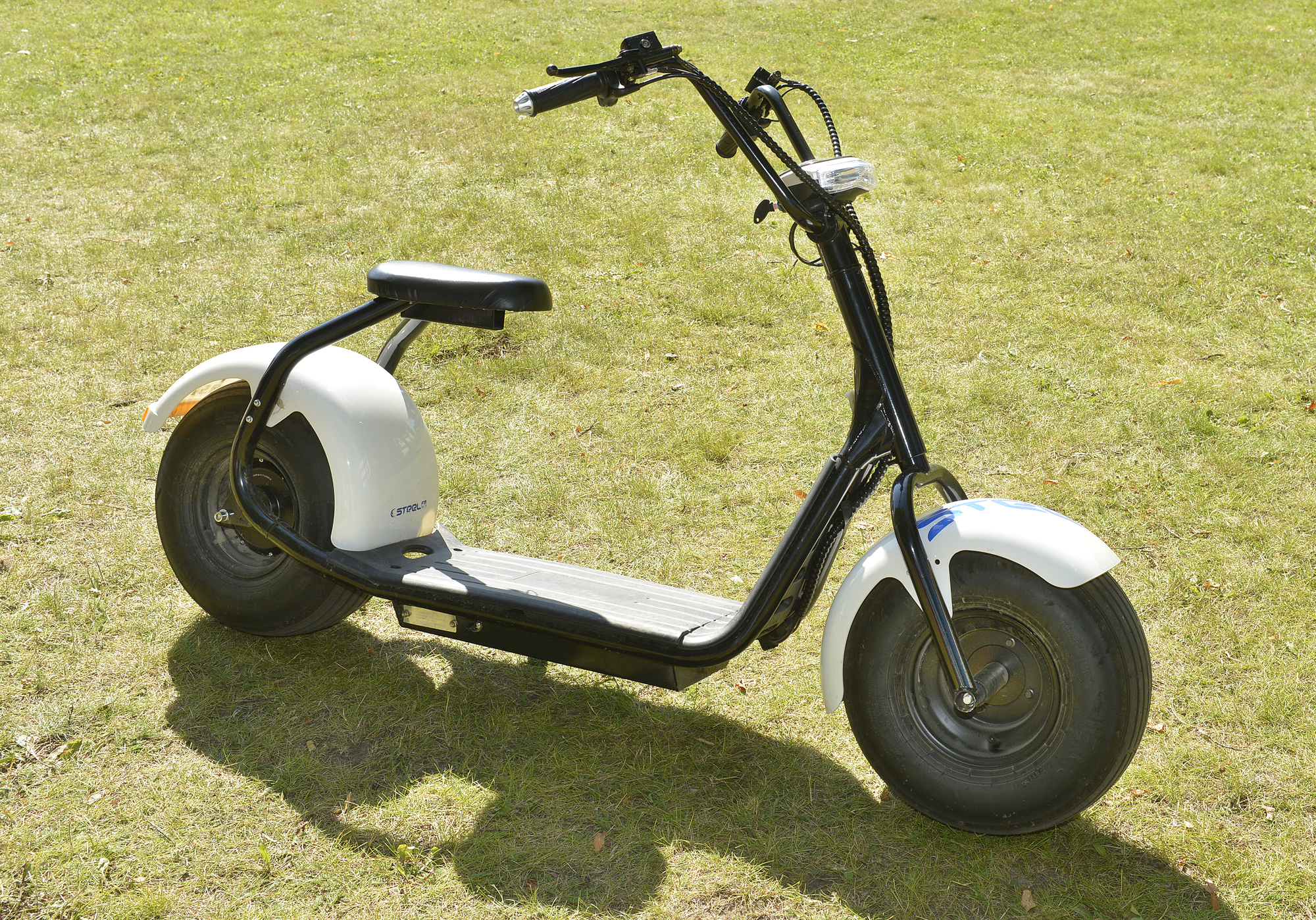 Många har försäkrat sina lätta elfordon