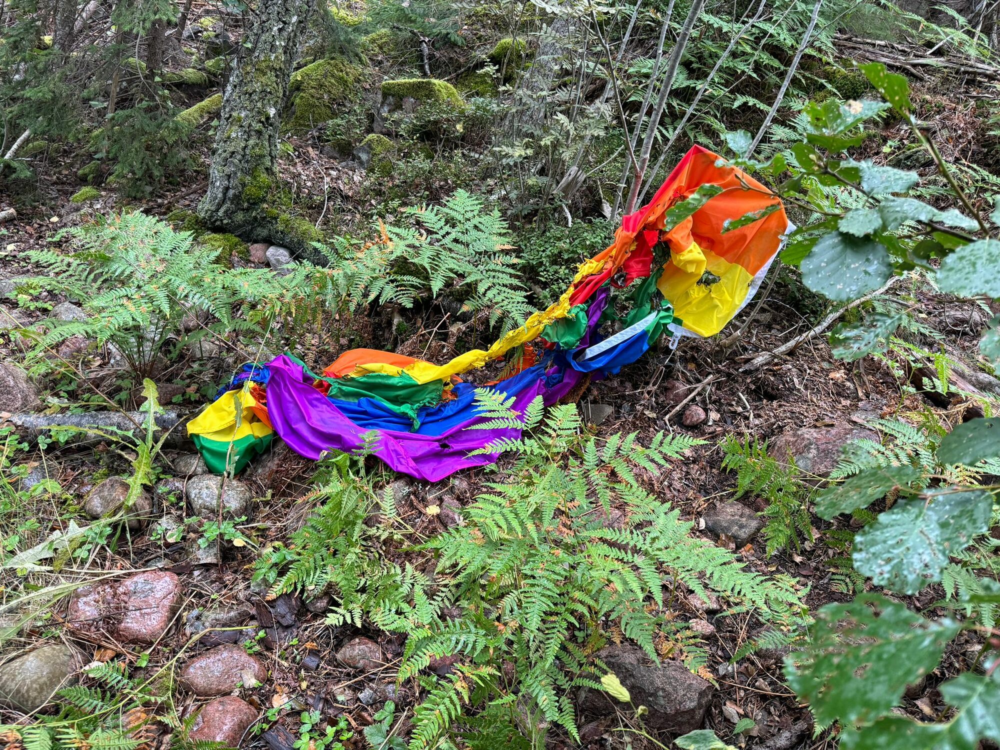 Bränd regnbågsflagga längs promenadstig