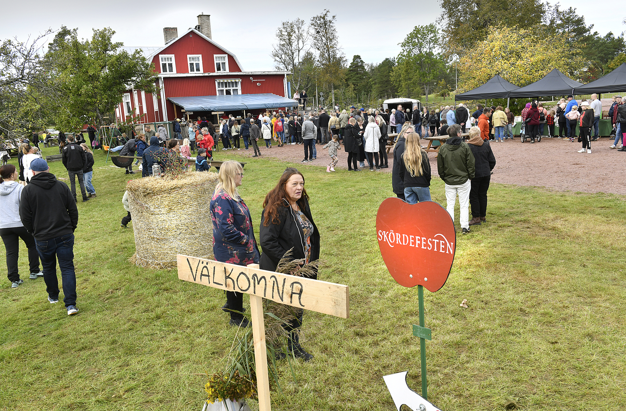 Gratisbuss transporterar årets skördefestbesökare