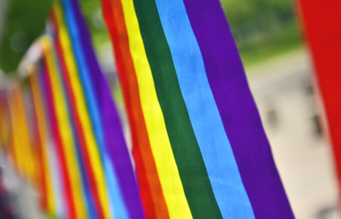 Prideflagga förstörd vid Högskolan – ”Ser mycket allvarligt” på händelsen