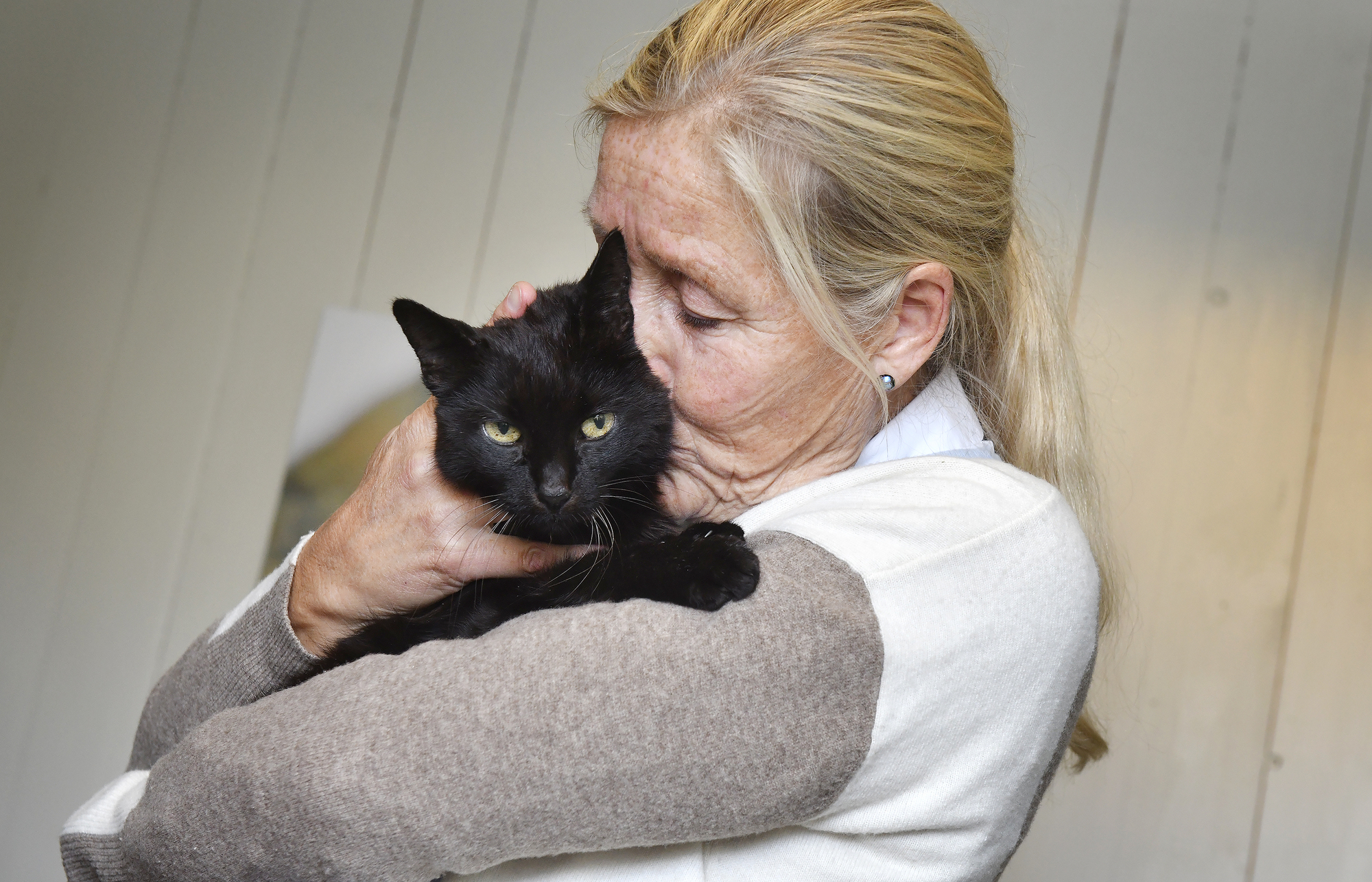 Äntligen får skeppskatten Luzia komma hem