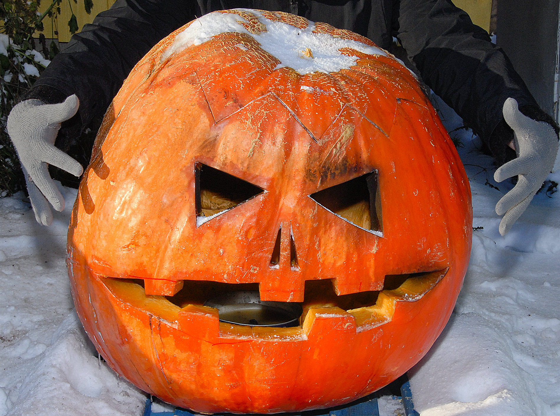 Tävla och vinn med din pyntade pumpa