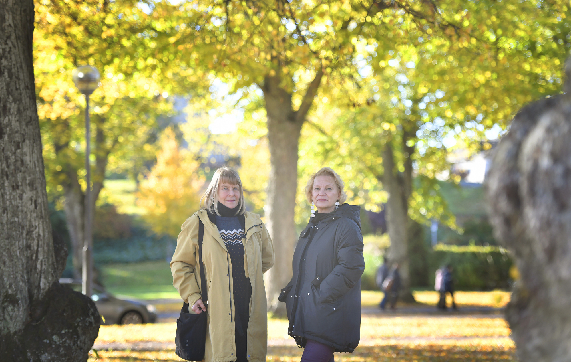 Dokumentärfilmare riktar fokus mot Önningebymålare